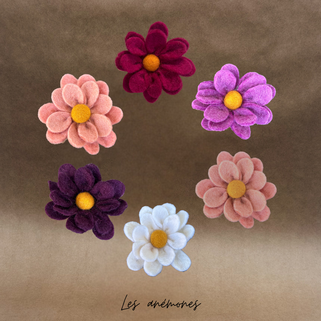 Lot de 3 Anémones - New Heidi
