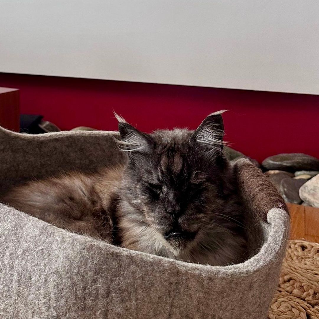 Panière en Feutrine