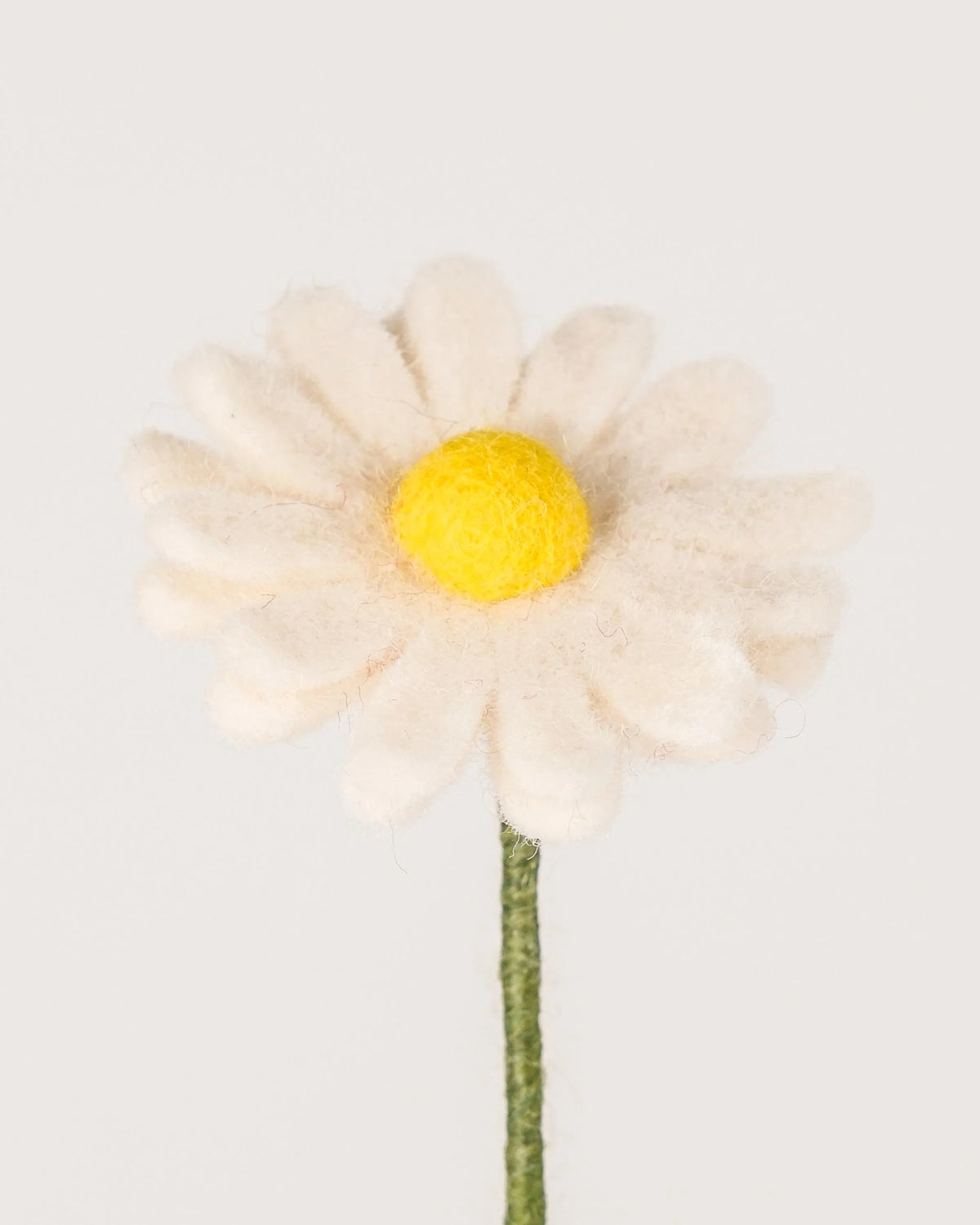 Photo zoom d'une marguerite en feutrine sur un fond blanc.