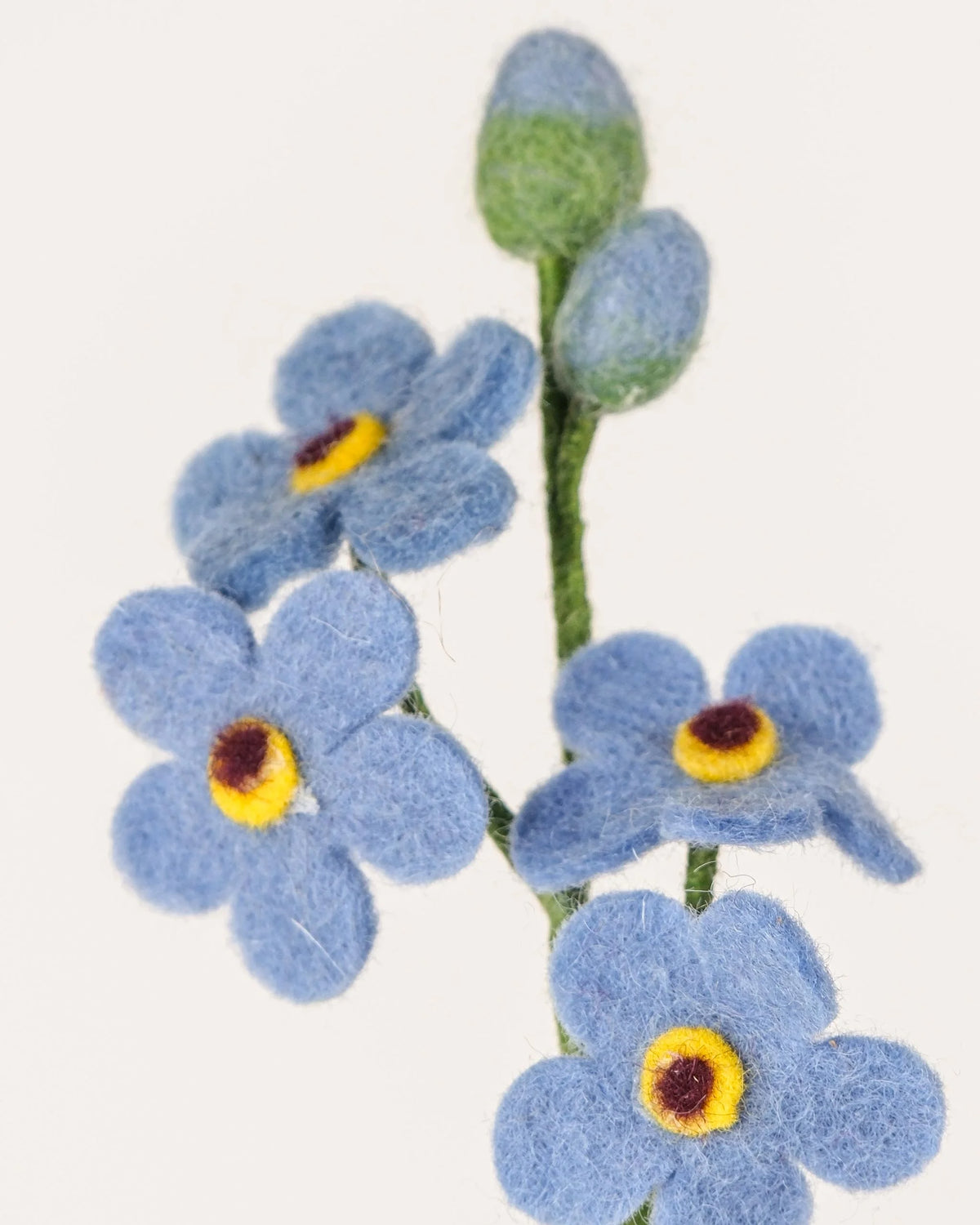 Photo zoom d'un myosotis en feutrine sur un fond blanc.