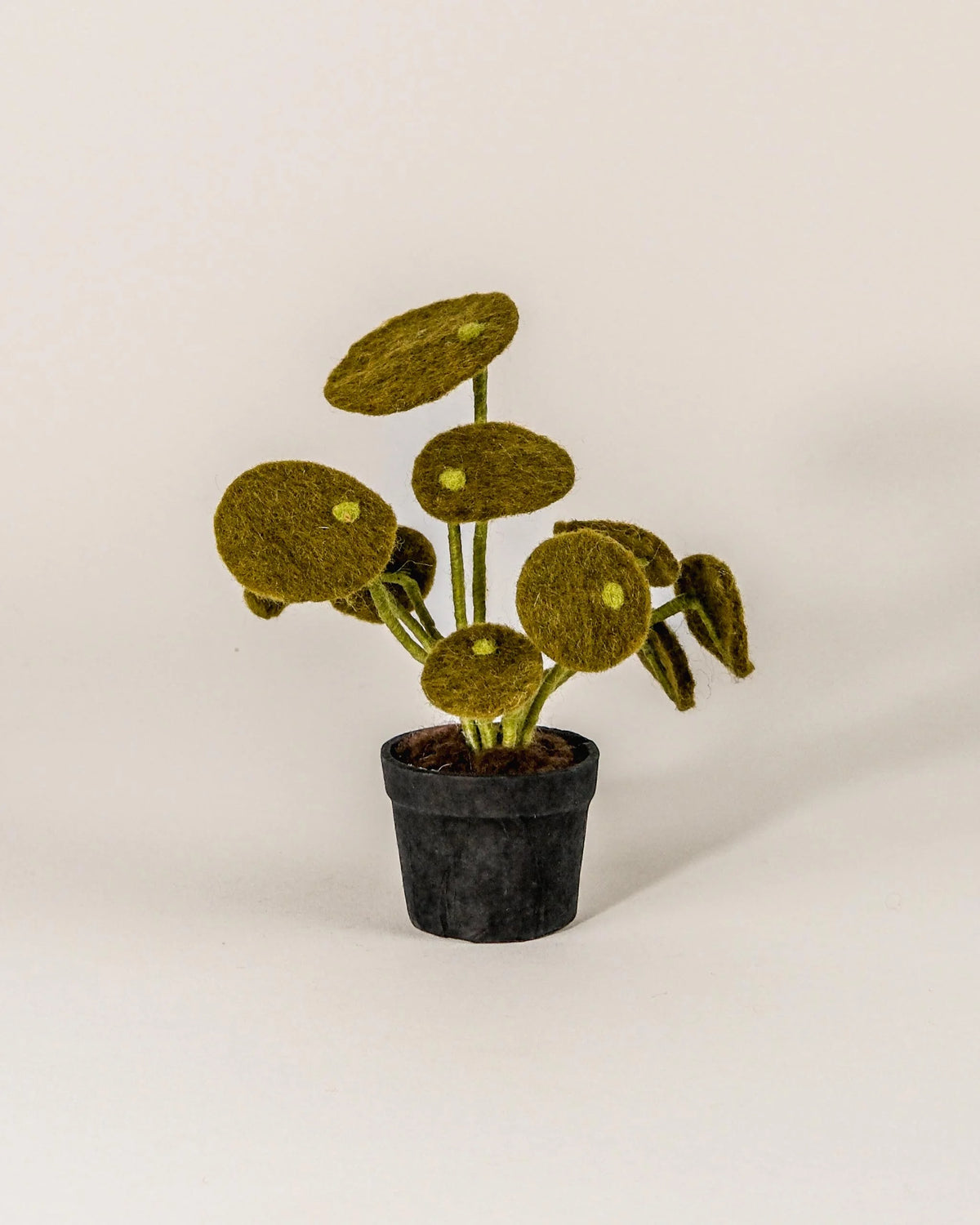 Petite piléa en feutrine dans un pot sur fond blanc.