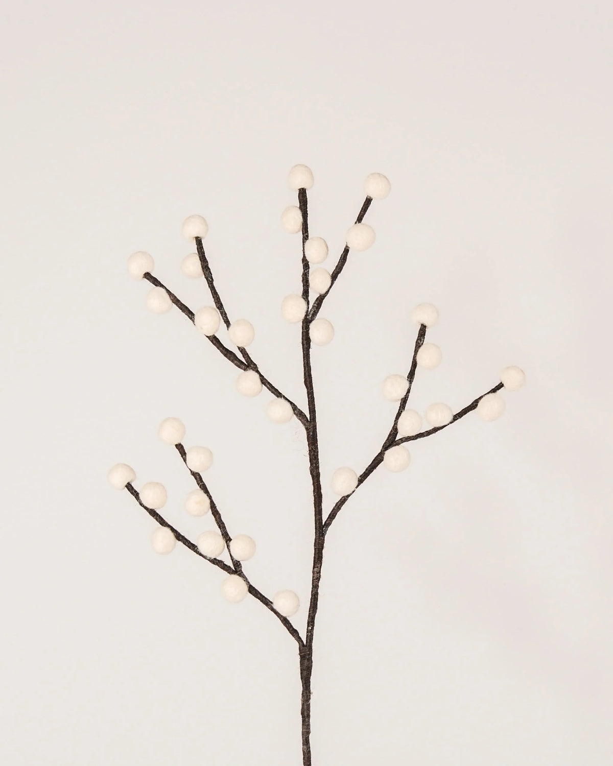 Photo d'une branche de baie blanche en feutrine sur un fond blanc.