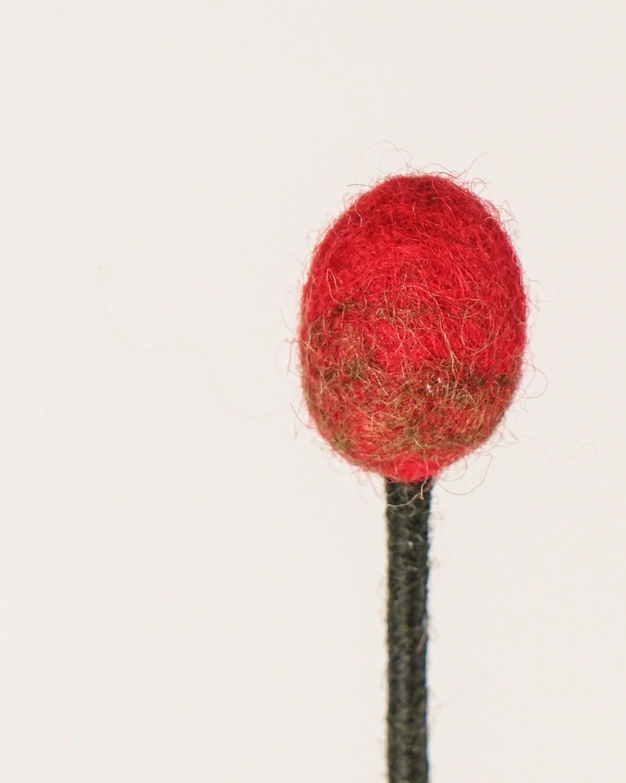 Bourgeon de coquelicot en feutrine sur un fond blanc détail zoom matière.