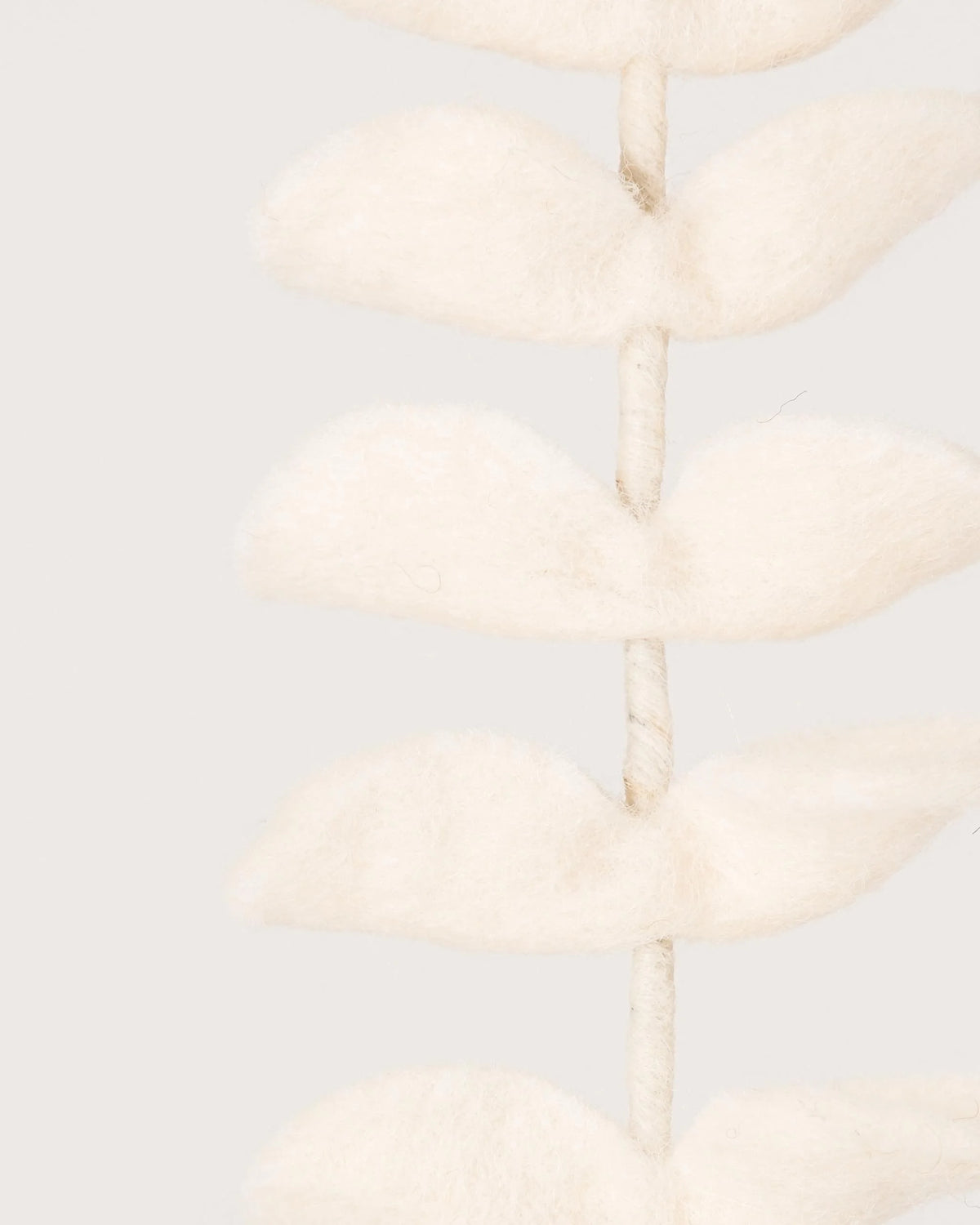 Photo zoom d'un eucalyptus blanc en feutrine sur un fond blanc.