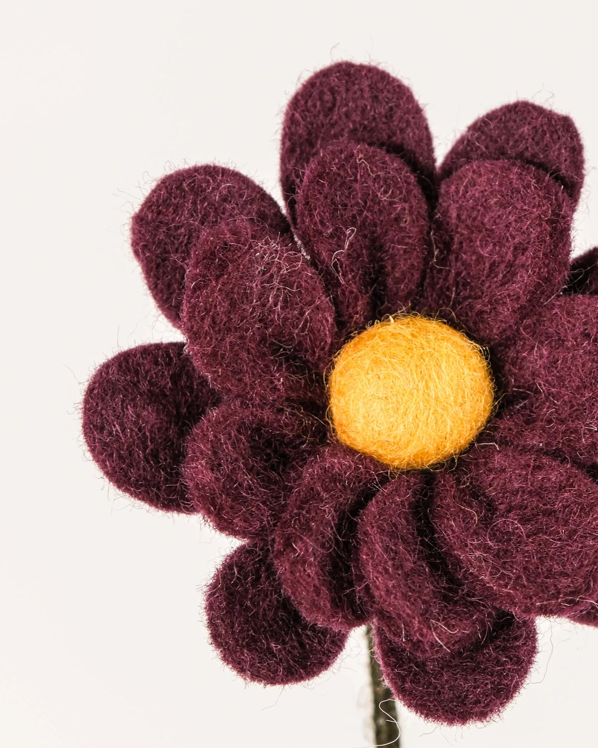 Photo zoom d'une anémone violet foncé en feutrine sur un fond blanc.
