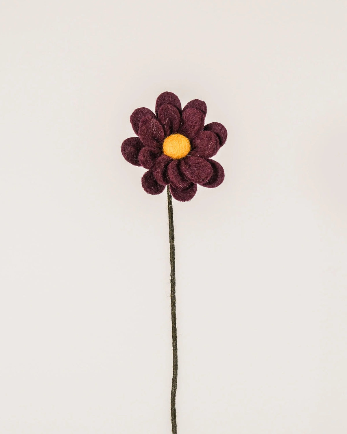 Photo d'une anémone violet foncé en feutrine sur un fond blanc.
