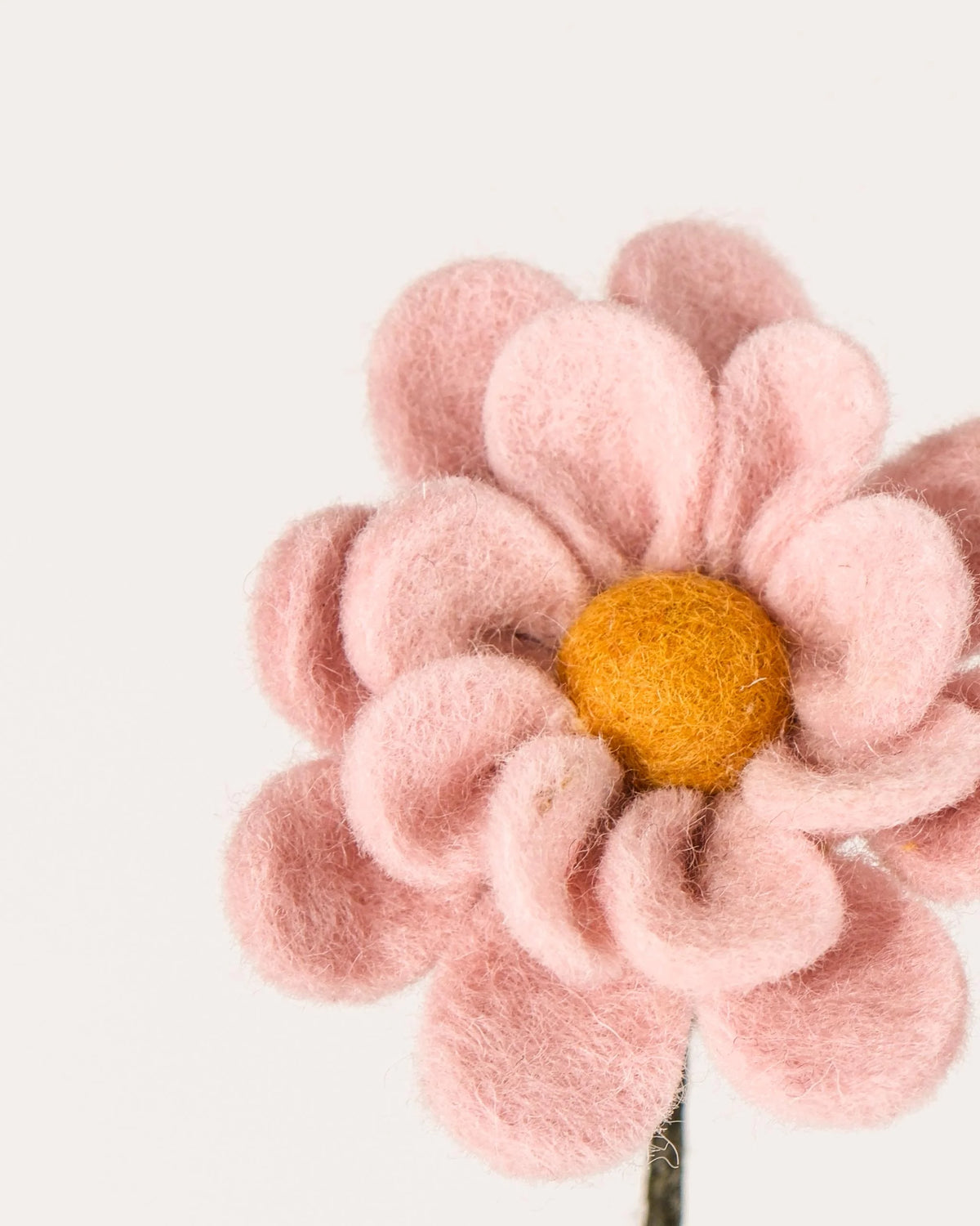 Photo zoom d'une anémone rose pastel en feutrine sur un fond blanc.