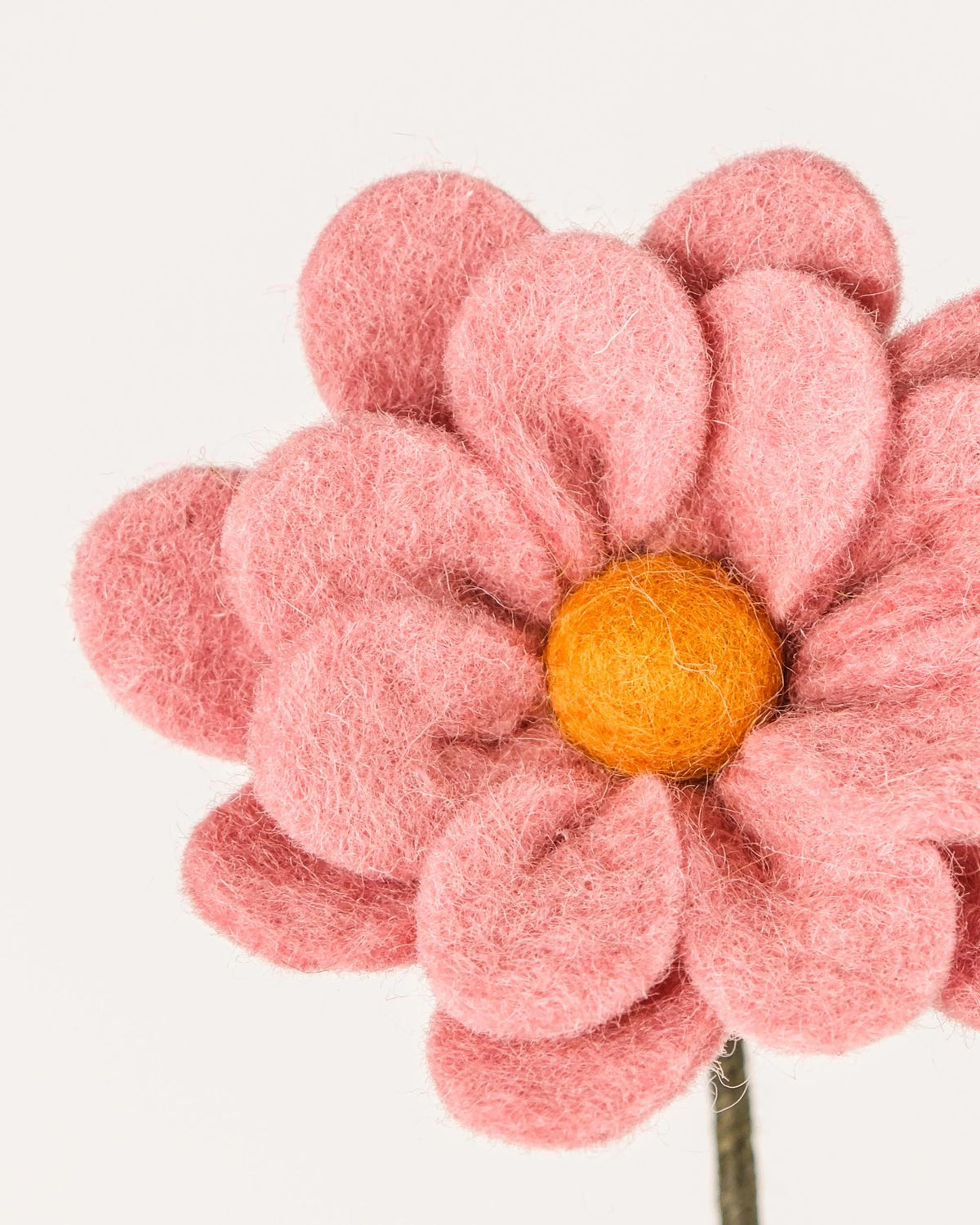 Photo zoom d'une anémone rose en feutrine sur un fond blanc.