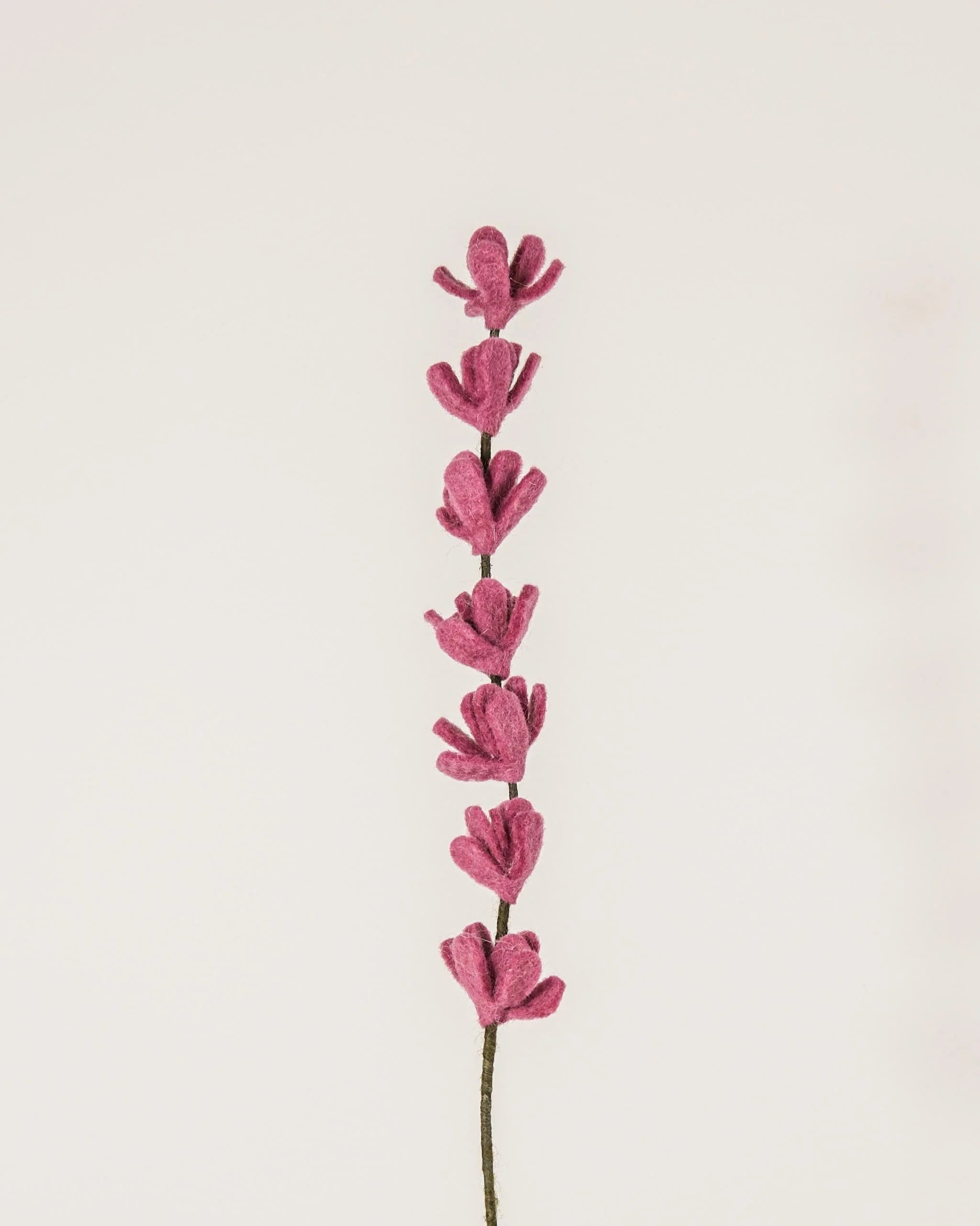 Photo d'une branche de genêt violet clair en feutrine sur un fond blanc style photo packshot.