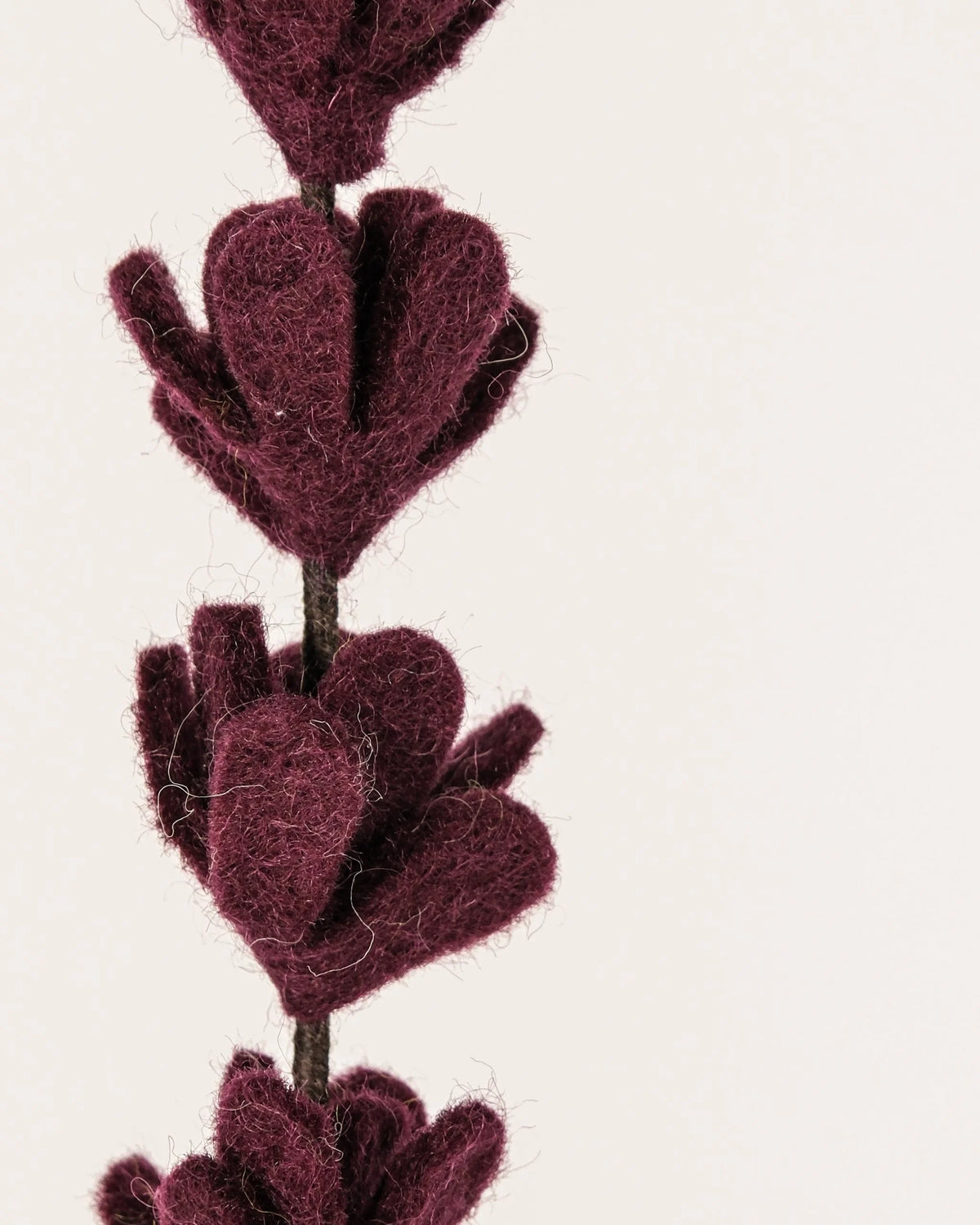 Photo zoom d'une branche de genêt violet foncé en feutrine sur un fond blanc style photo packshot.