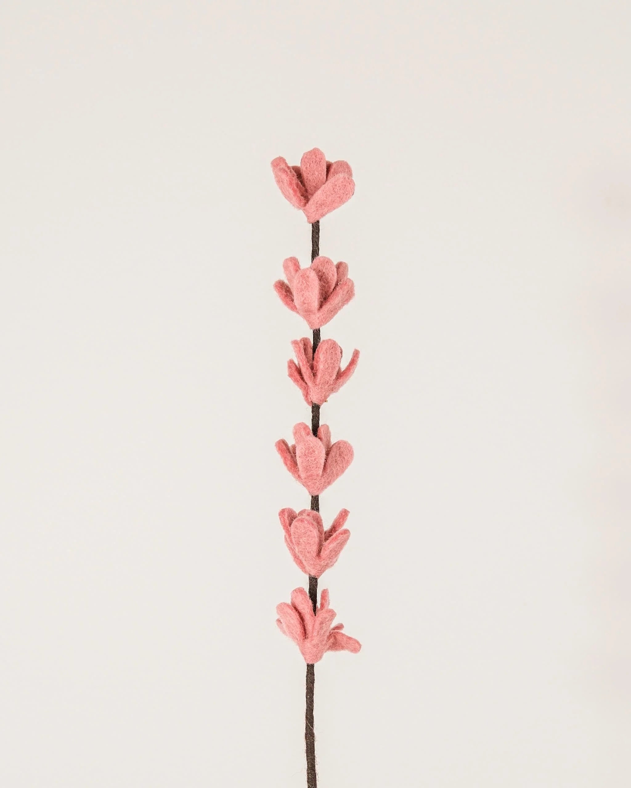 Photo d'une branche de genêt rose en feutrine sur un fond blanc style photo packshot.