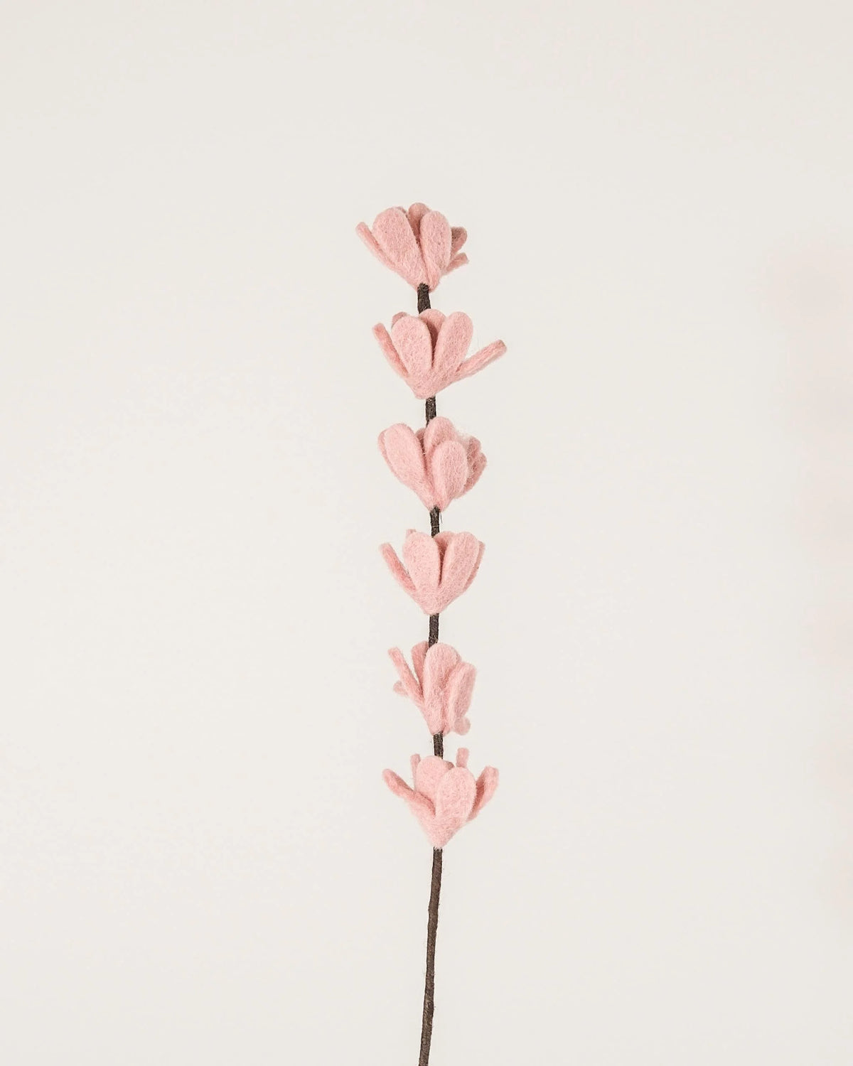 Photo d'une branche de genêt rose pastel en feutrine sur un fond blanc style photo packshot.