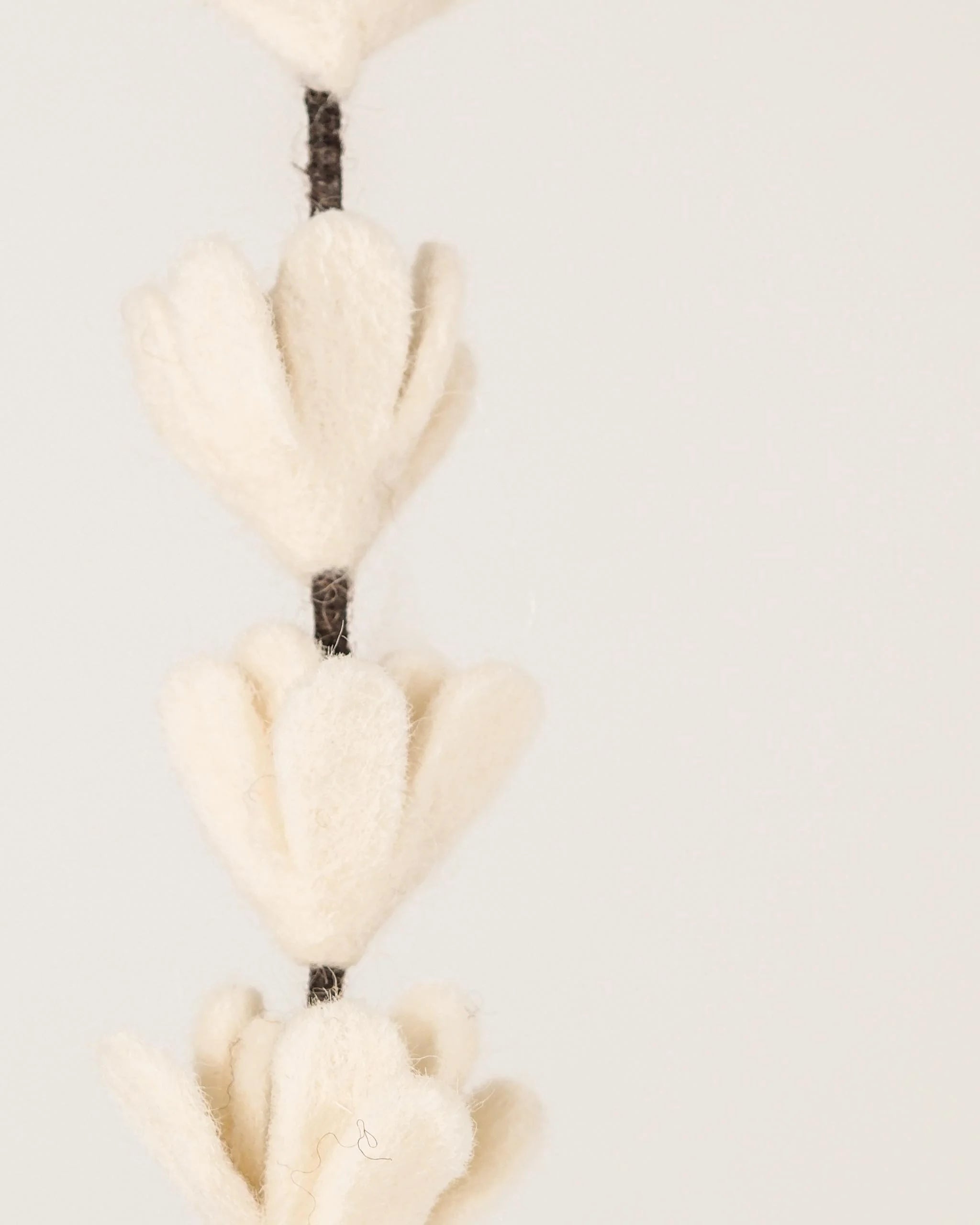 Photo zoom d'une branche de genêt blanc en feutrine sur un fond blanc style photo packshot.