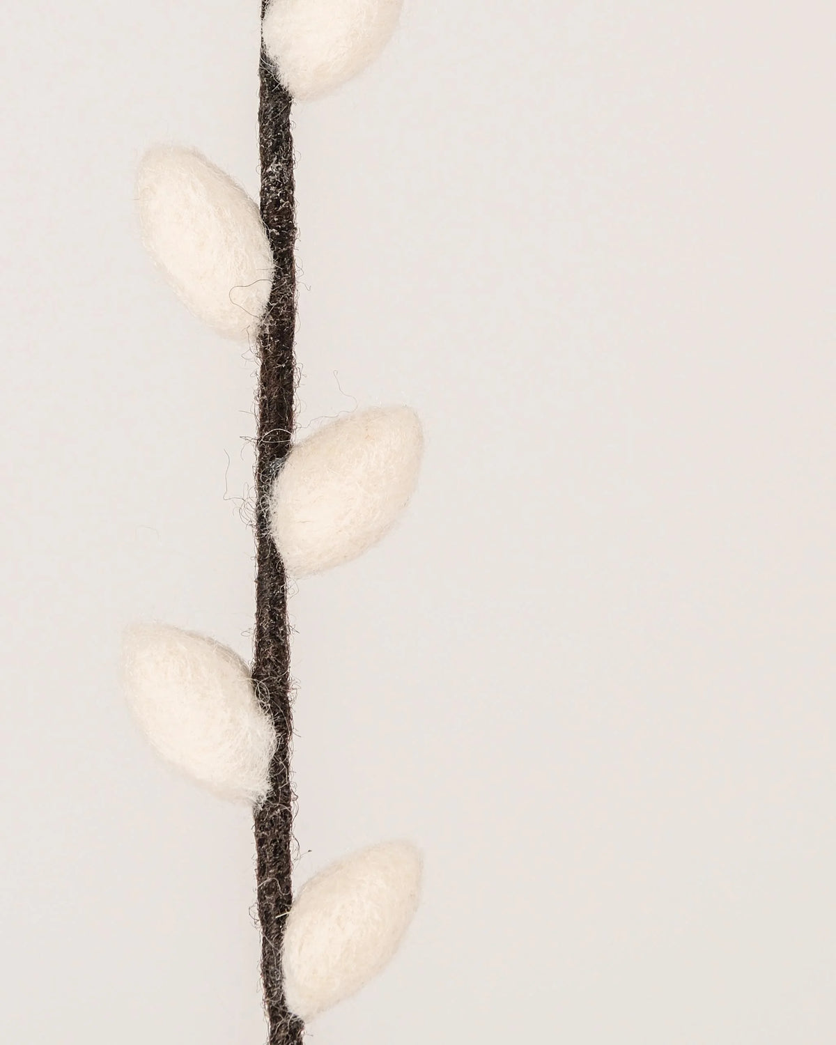 Photo zoom d'un chaton de saule en feutrine sur un fond blanc style photo packshot.