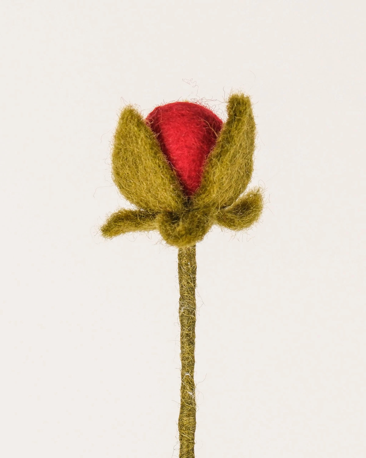 Bouton de rose rouge en feutrine sur un fond blanc détail zoom matière.