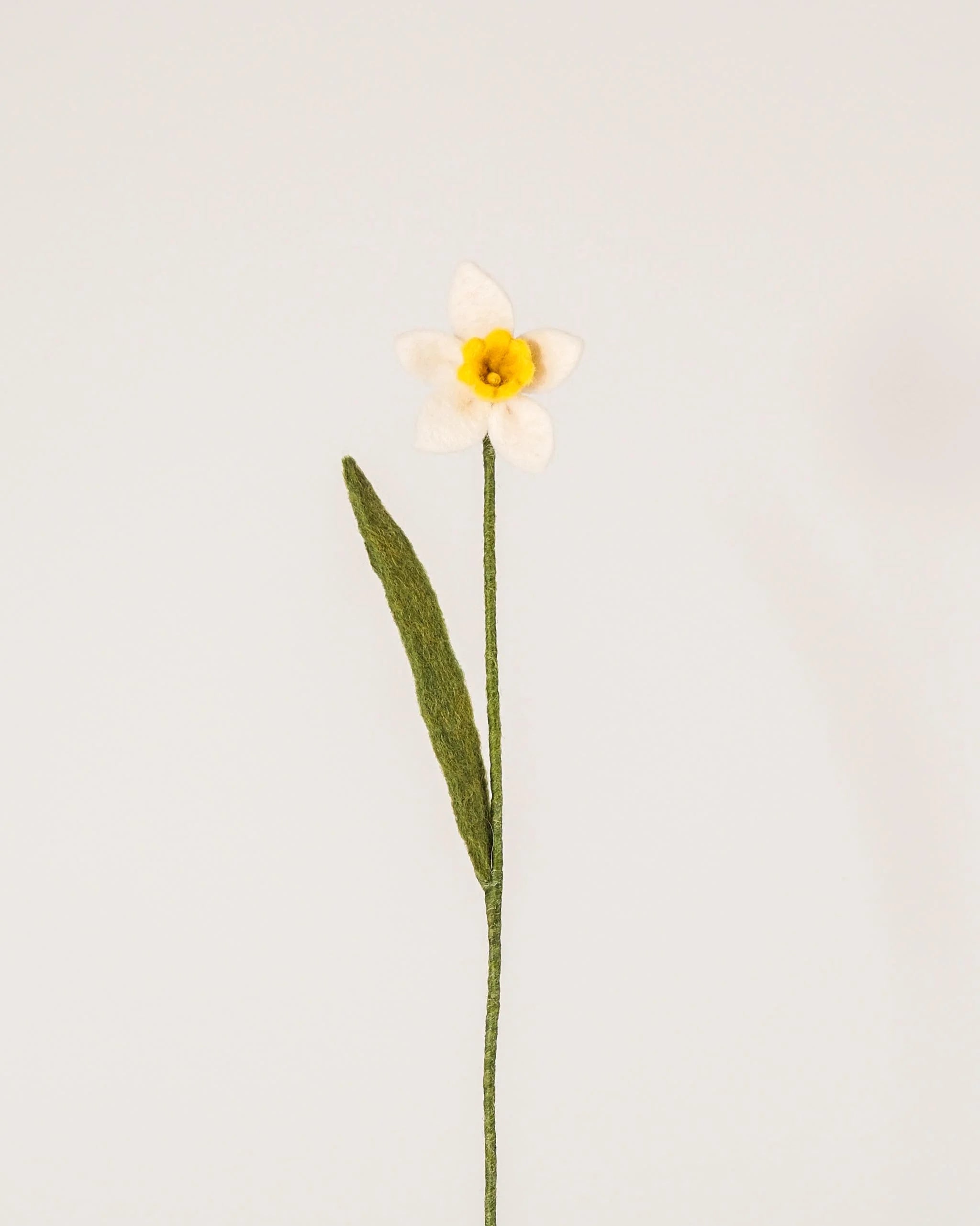 Photo d'une jonquille blanche en feutrine sur un fond blanc style photo packshot.