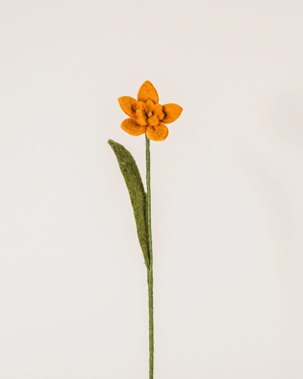 Photo d'une jonquille moutarde en feutrine sur un fond blanc style photo packshot.