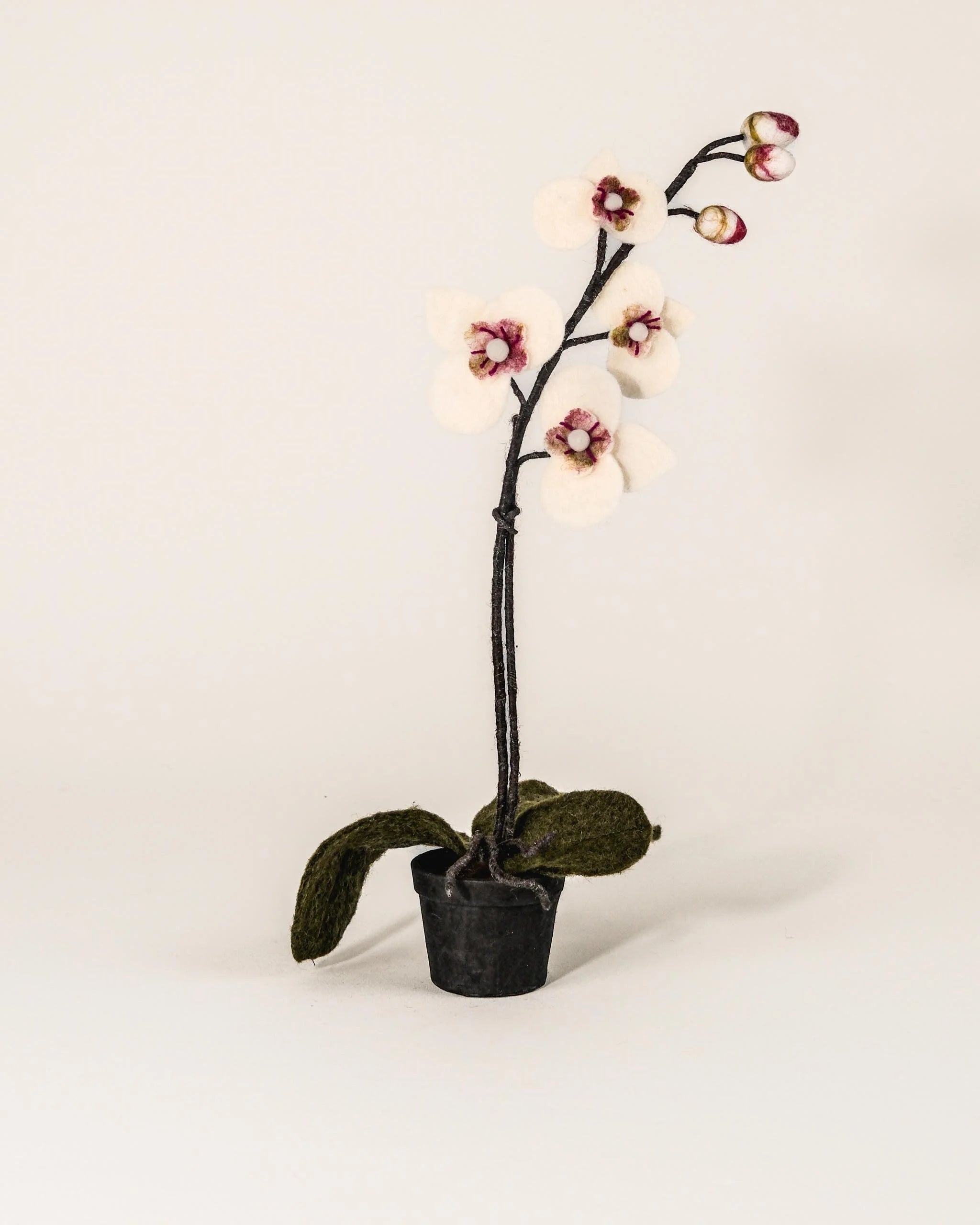 Orchidée en pot en feutrine sur un fond blanc.