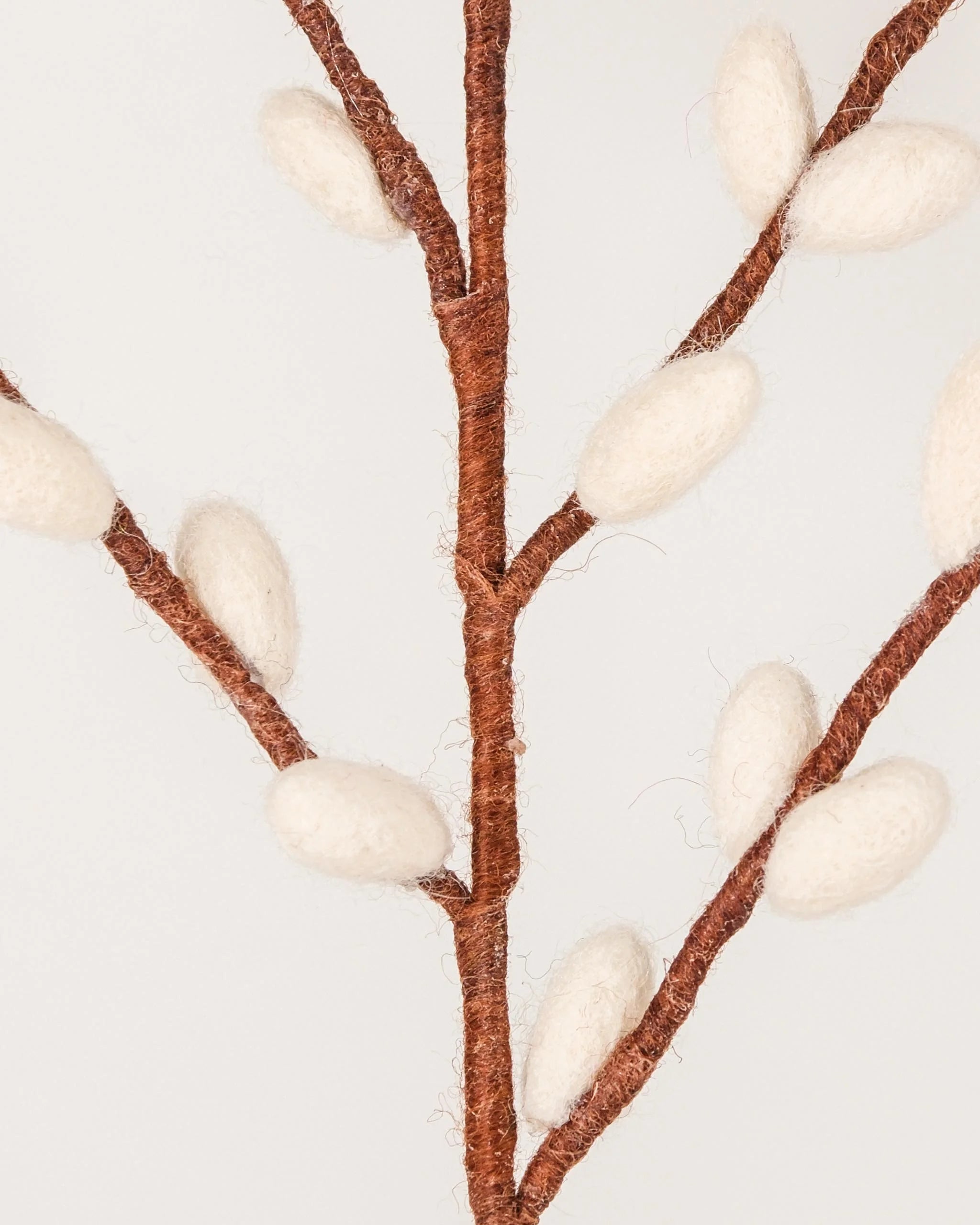 Photo zoom d'une branche de chaton de saule marron géante en feutrine sur un fond blanc style photo packshot.
