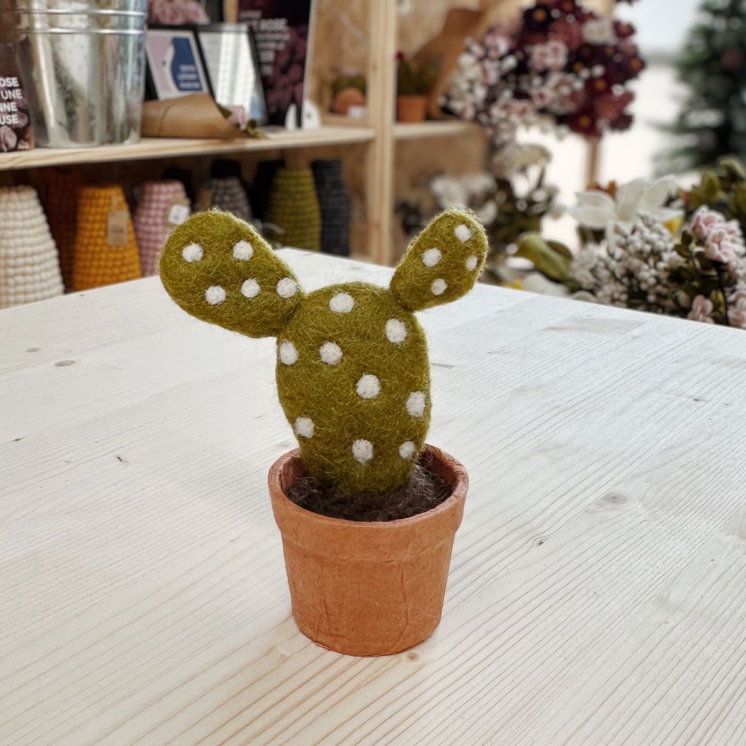 Petit cactus à pois blancs en feutrine verte New Heidi dans son pot en laine grise, vu de face sur un fond rouge.