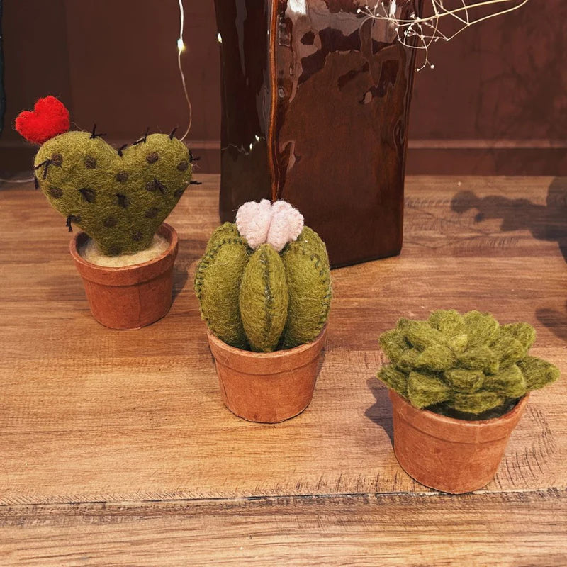 Cactus en laine feutrée avec petite fleur rose New Heidi présenté avec d'autres succulentes artisanales.