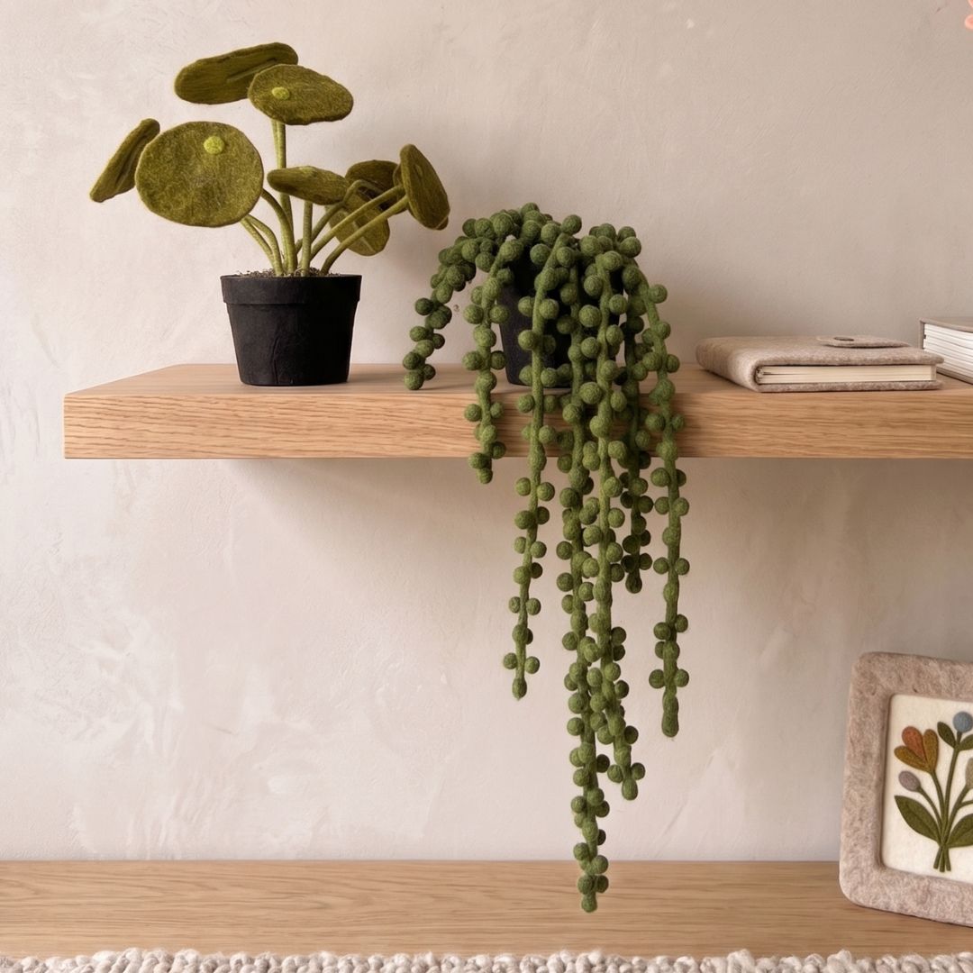 Petite plante piléa et mini cactus en pot en laine feutrée artisanale exposés ensemble en décoration d’intérieur.
