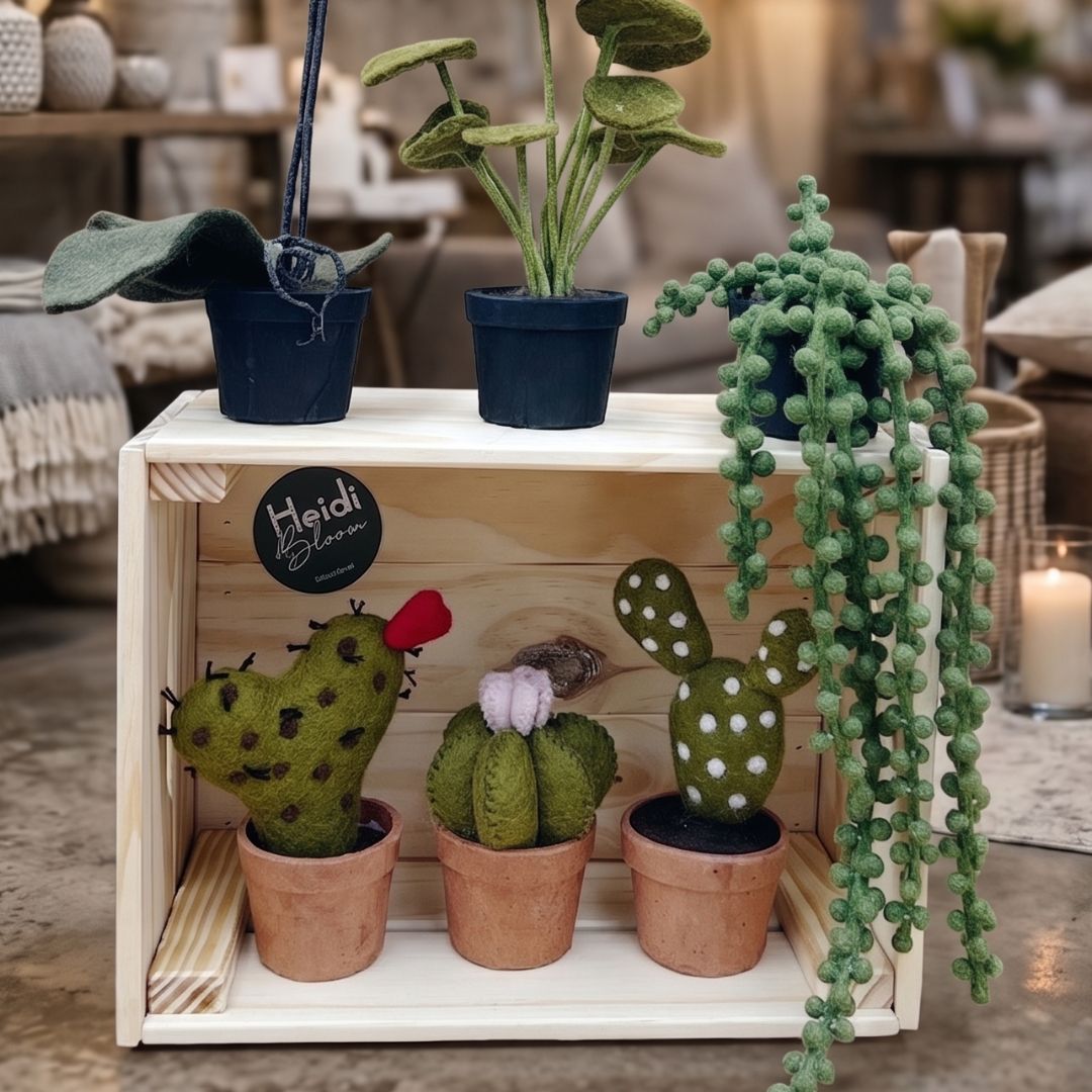 Petit cactus en pot en laine feutrée artisanale exposé en décoration d’intérieur sur un meuble en bois à côté d’un bouquet.