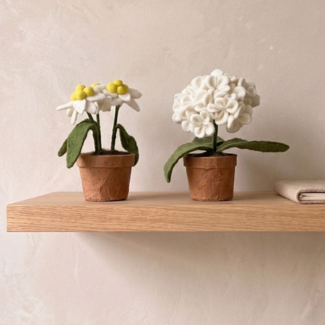 Pot d'edelweiss blanc en laine feutrée artisanale exposé sur une table en bois clair à côté d'un petit pot d'hortensia.