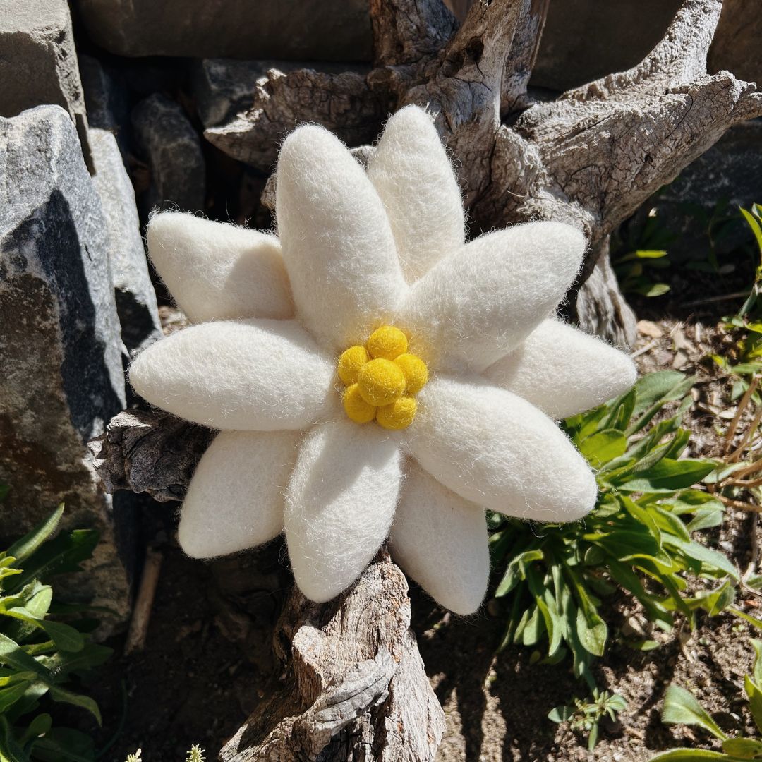 Gros plan sur une fleur d'edelweiss murale de 20cm de diamètre en laine bouillie blanche et jaune posée sur du bois.