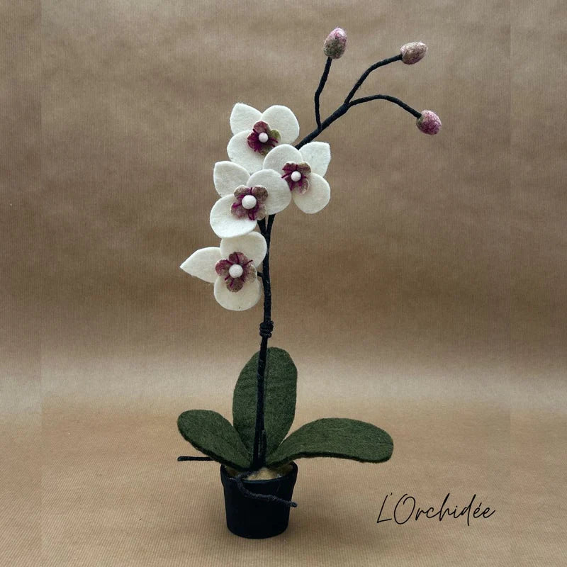 erplain_file_id:174601 - Orchidée Blanche en Pot en Feutrine – Décoration Artisanale New Heidi