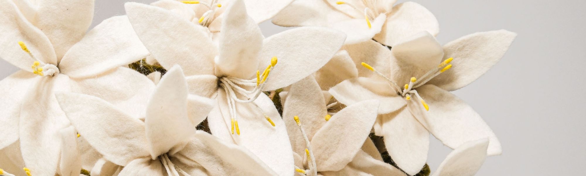 Pourquoi offrir des fleurs « fraîches » est une hérésie écologique