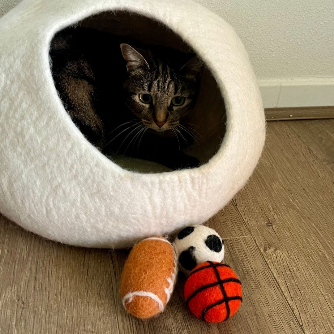 Set de 3 ballons pour chat