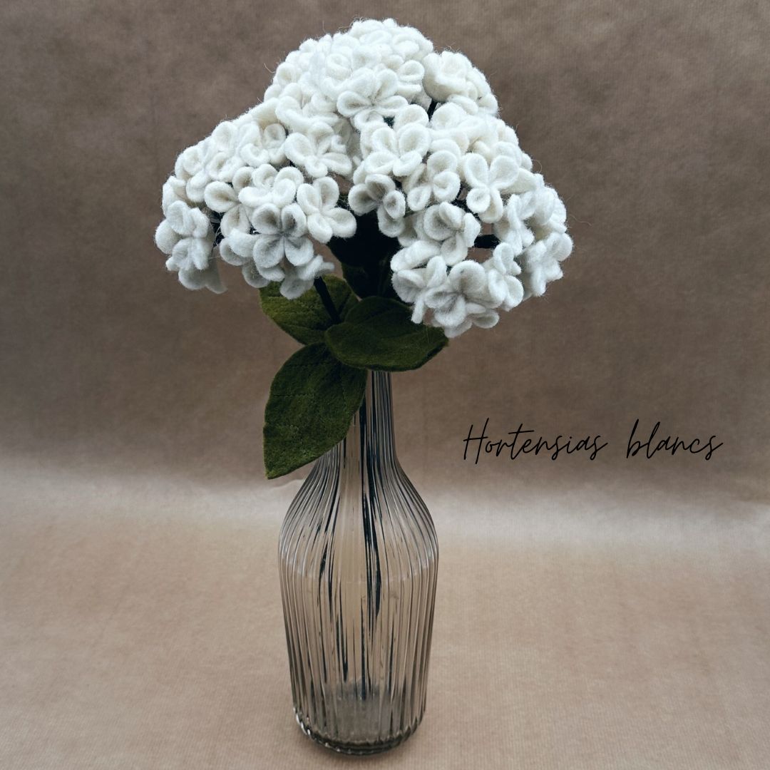 Lot de 3 Hortensias - New Heidi