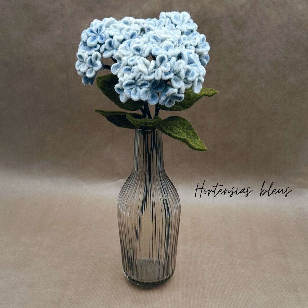 Lot de 3 Hortensias - New Heidi