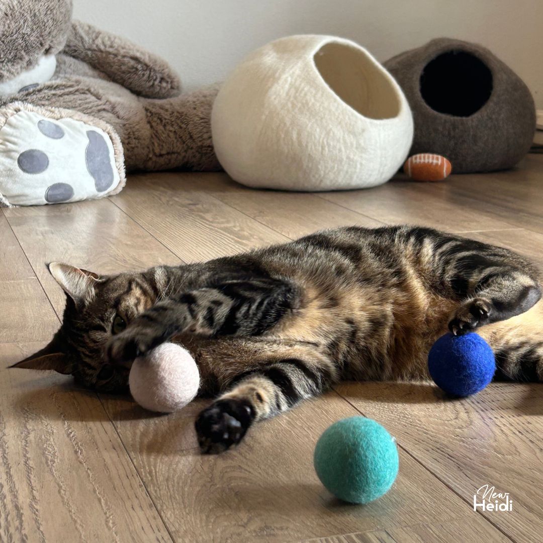 Set de 6 balles pour chat