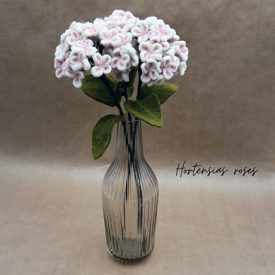 Lot de 3 Hortensias - New Heidi