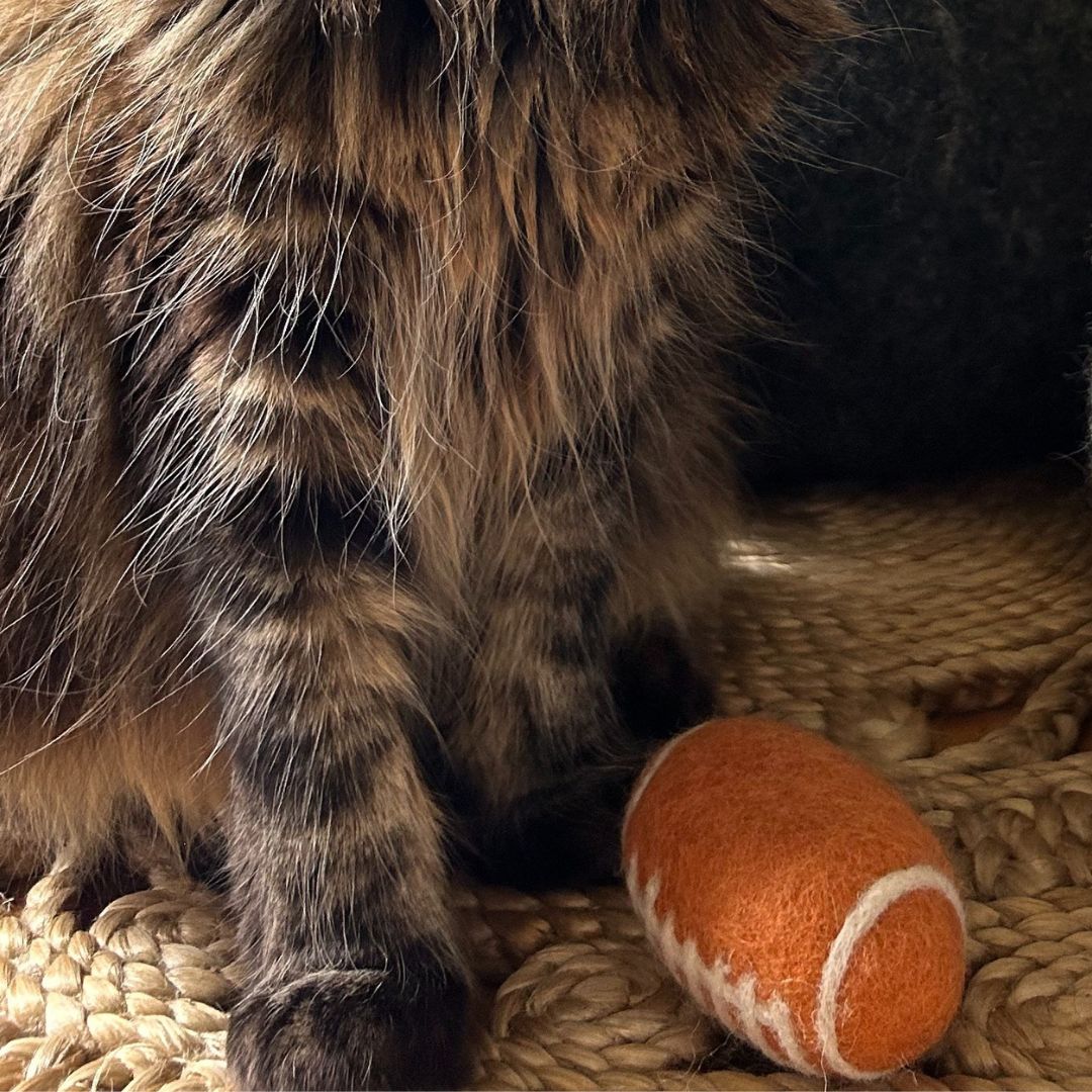 Set de 3 ballons pour chat