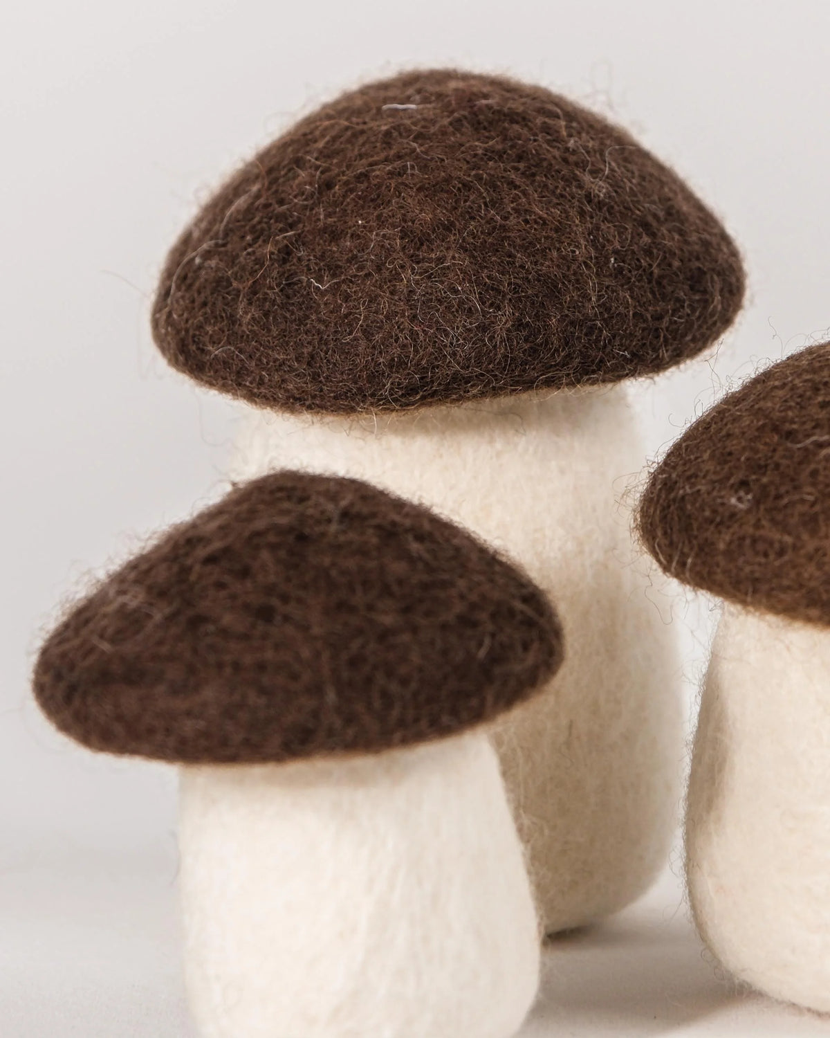 Grand champignon bolet marron en feutrine sur un fond blanc détail zoom matière