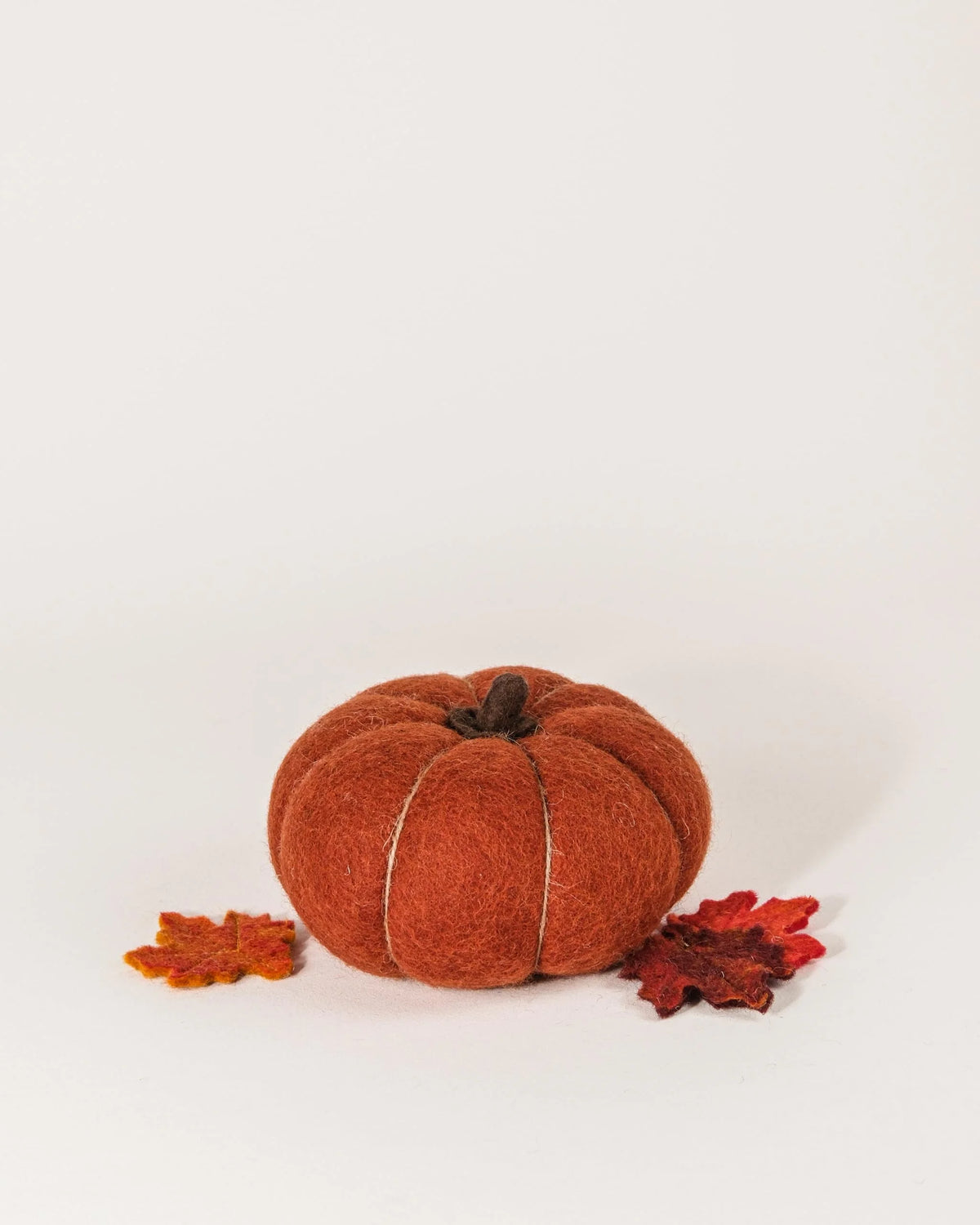 Citrouille rouille sur un fond blanc.