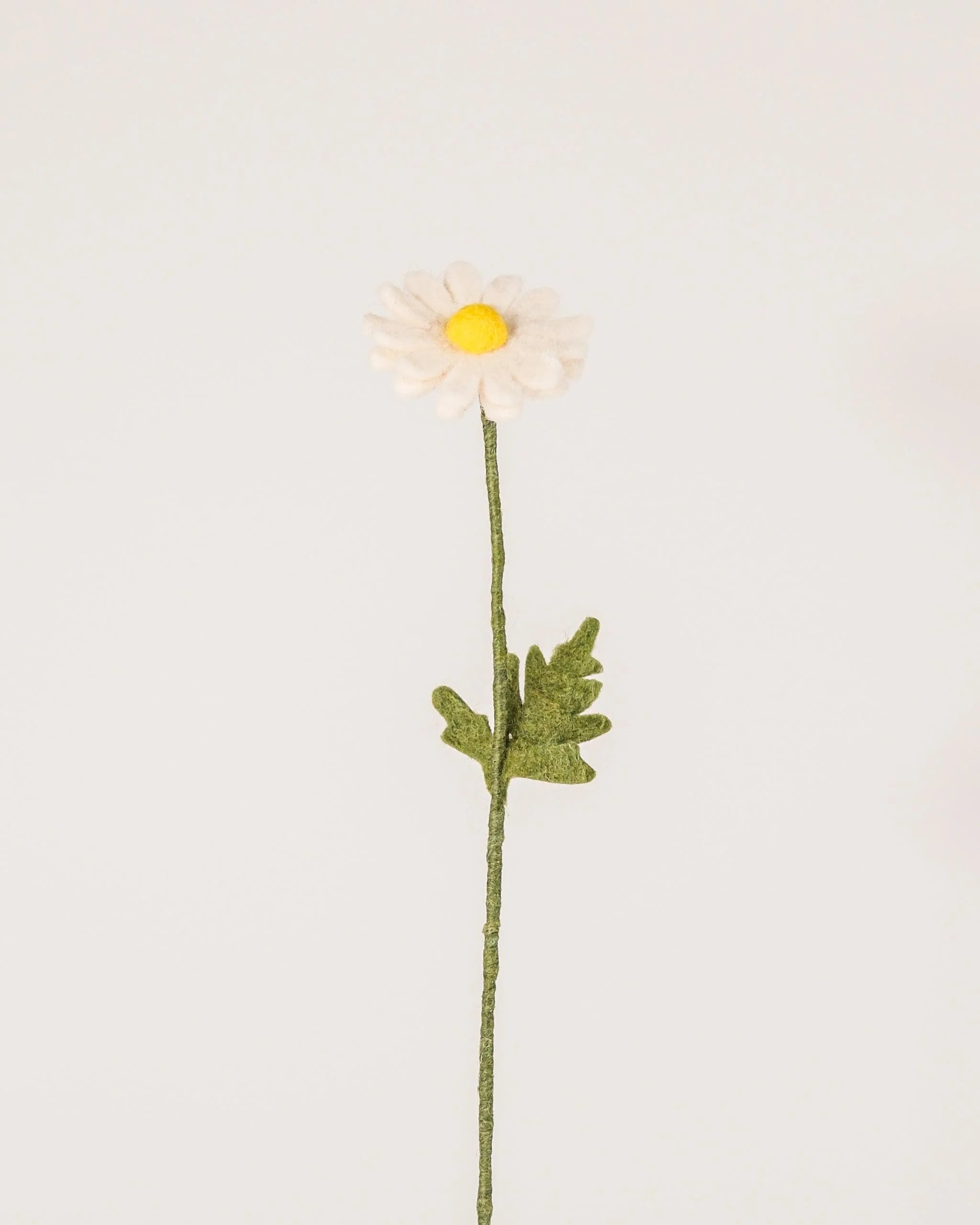 Photo d'une marguerite en feutrine sur un fond blanc.