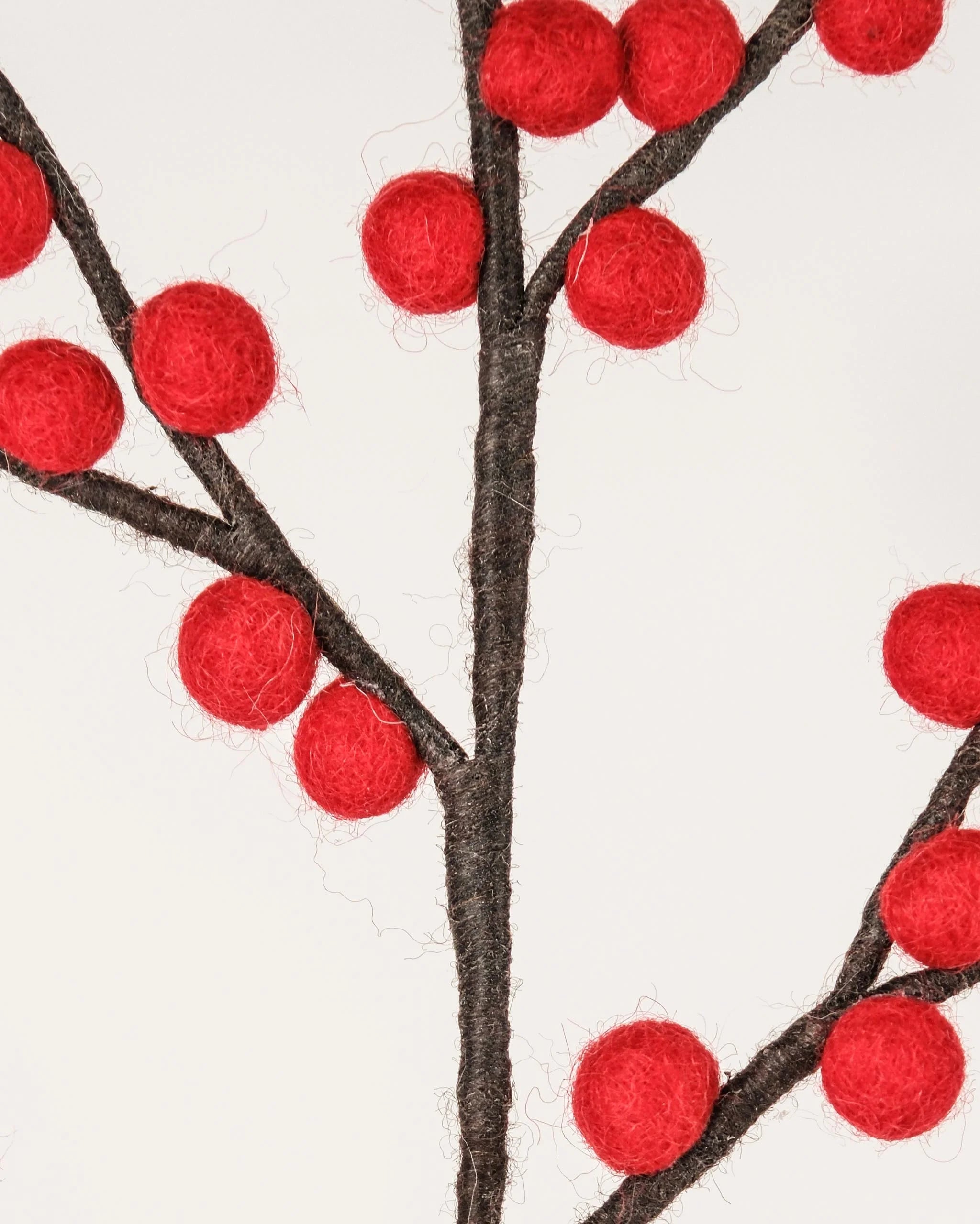 Photo zoom d'une branche de baies rouges en feutrine sur un fond blanc.