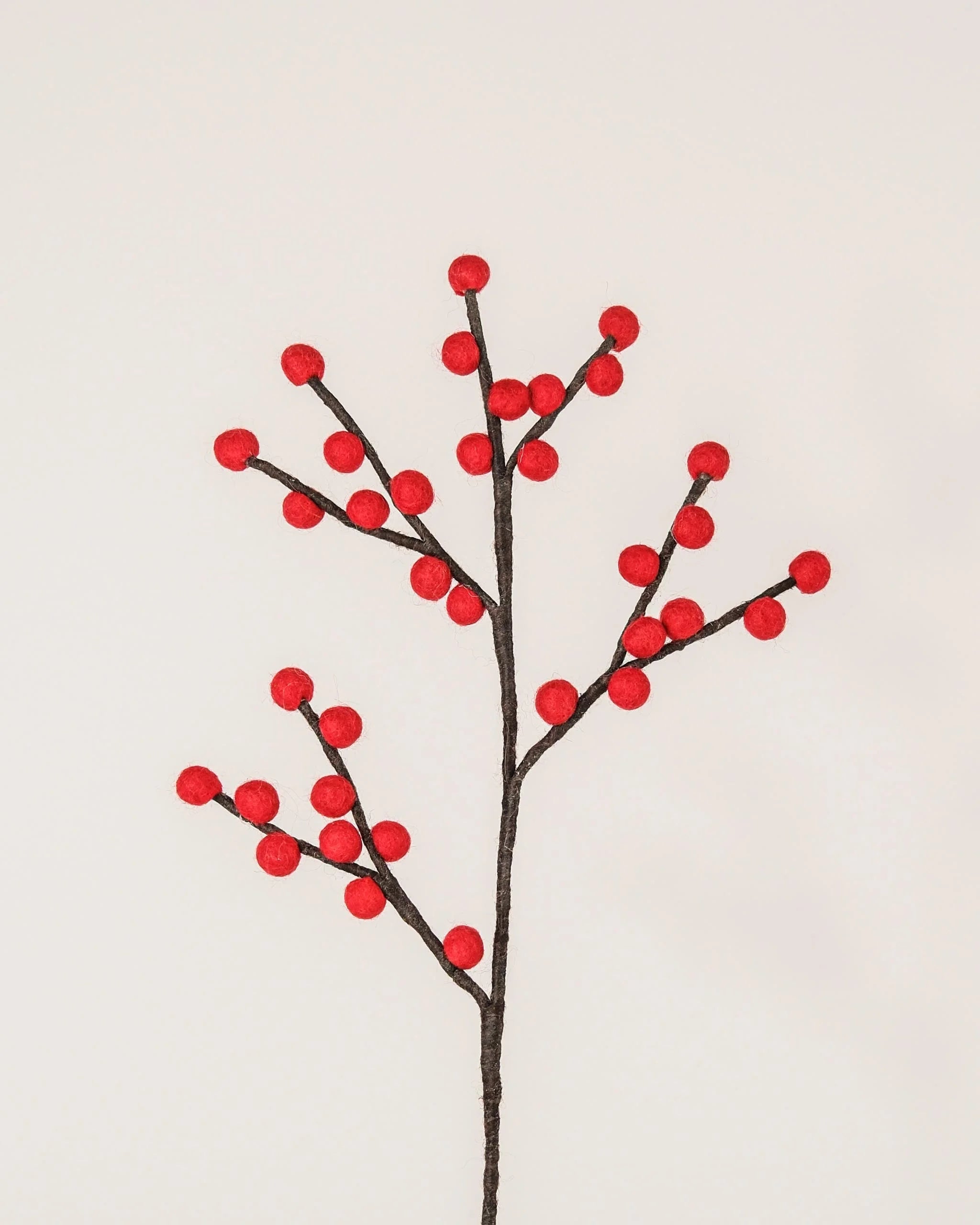 Photo d'une branche de baie rouge en feutrine sur un fond blanc.