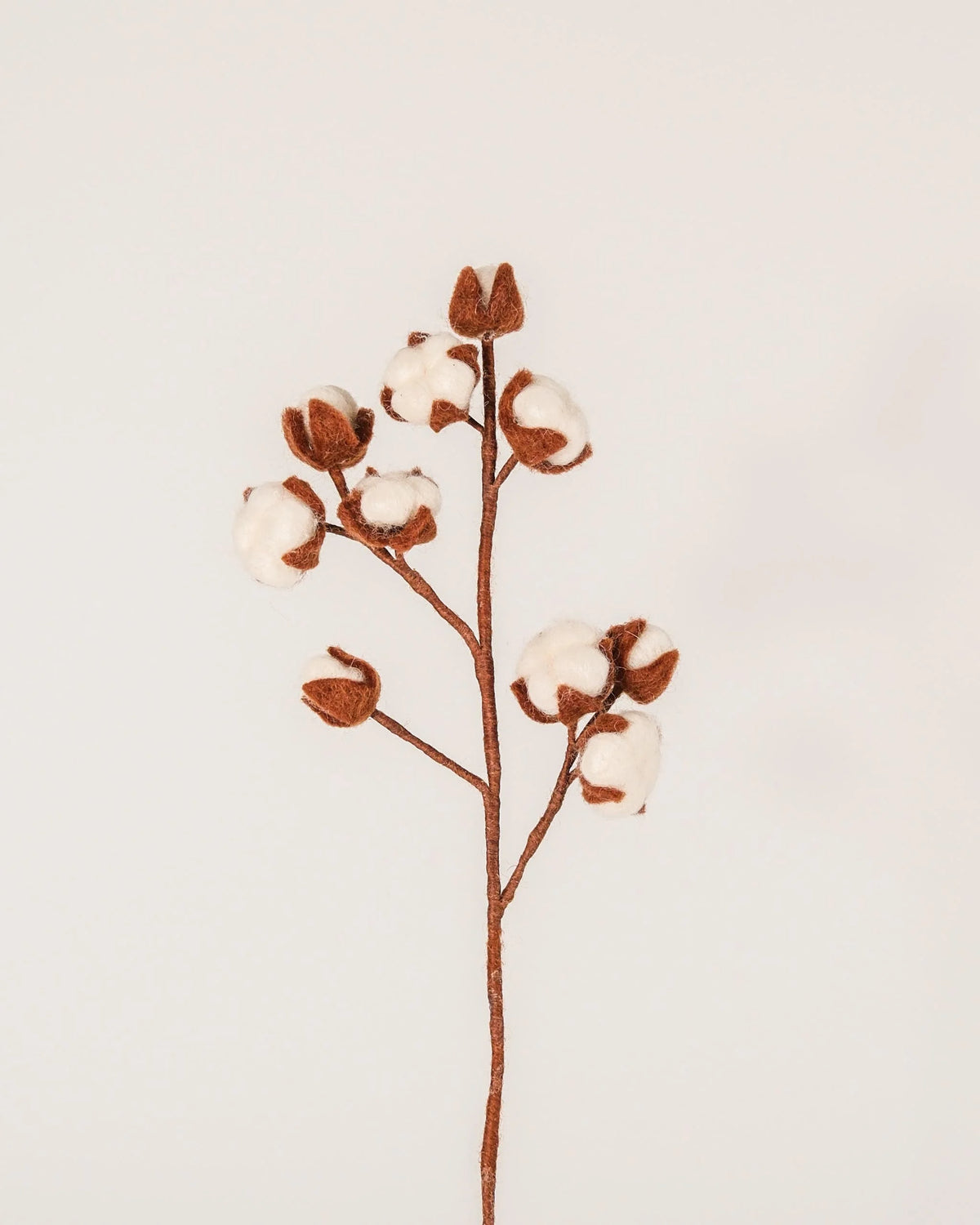Photo d'une branche de coton en feutrine sur un fond blanc.