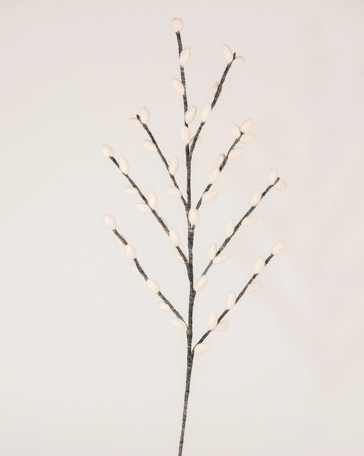 Photo d'une branche de chaton de saule gris géante en feutrine sur un fond blanc style photo packshot.
