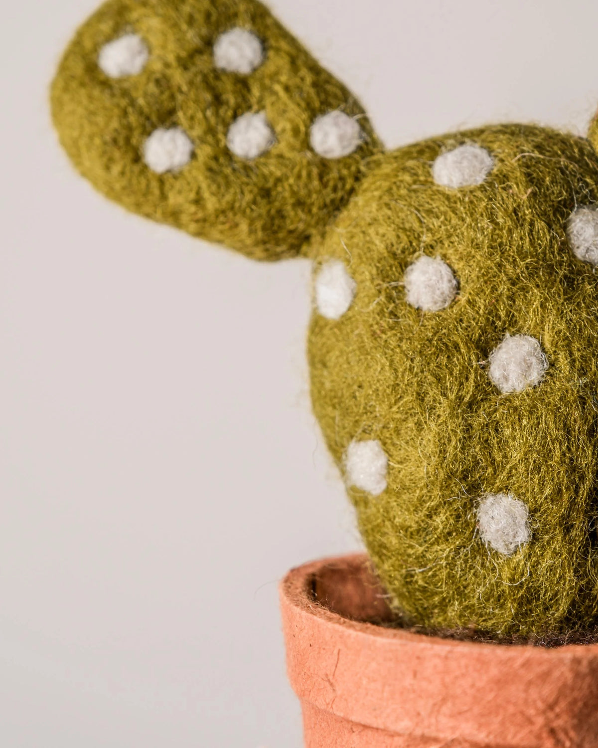 Cactus avec petit pois en feutrine dans un pot sur fond blanc detail zoom