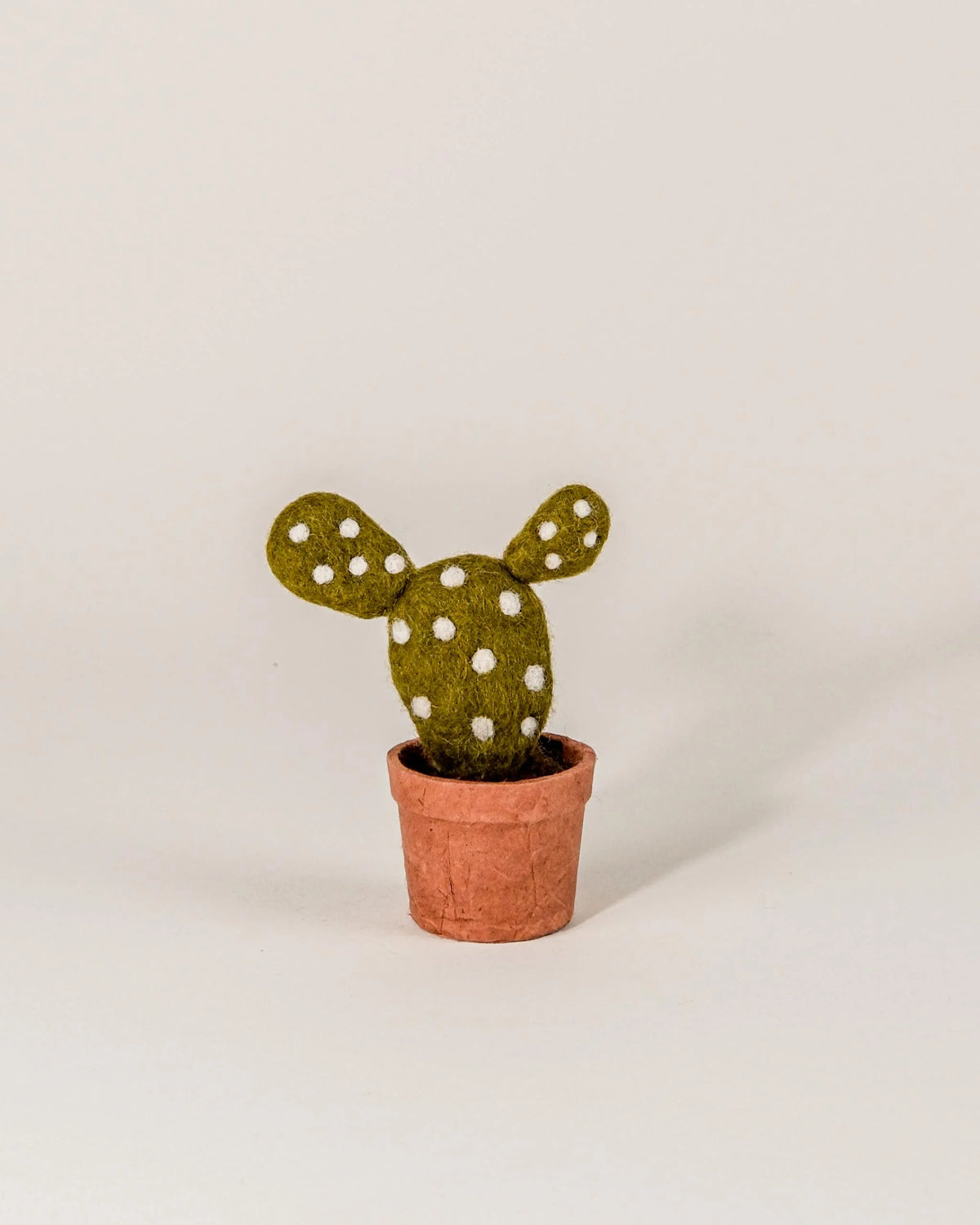 Cactus avec petit pois en feutrine dans un pot sur fond blanc.