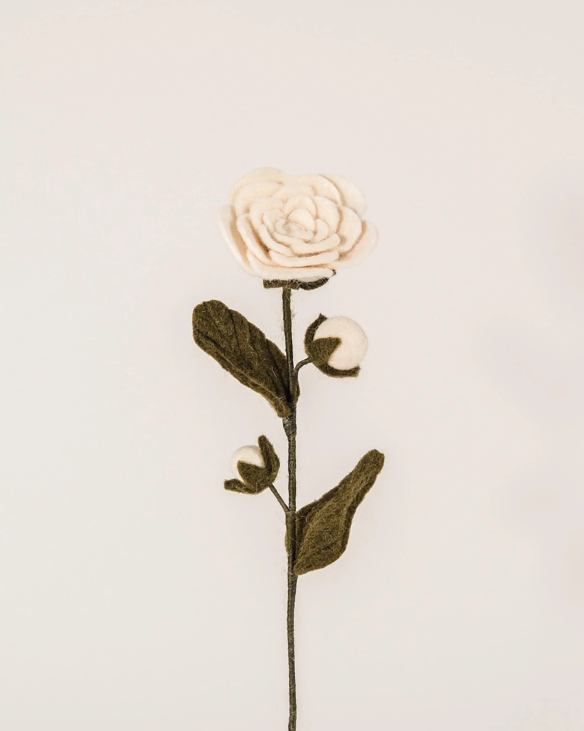 Camélia blanche en feutrine sur un mur blanc.