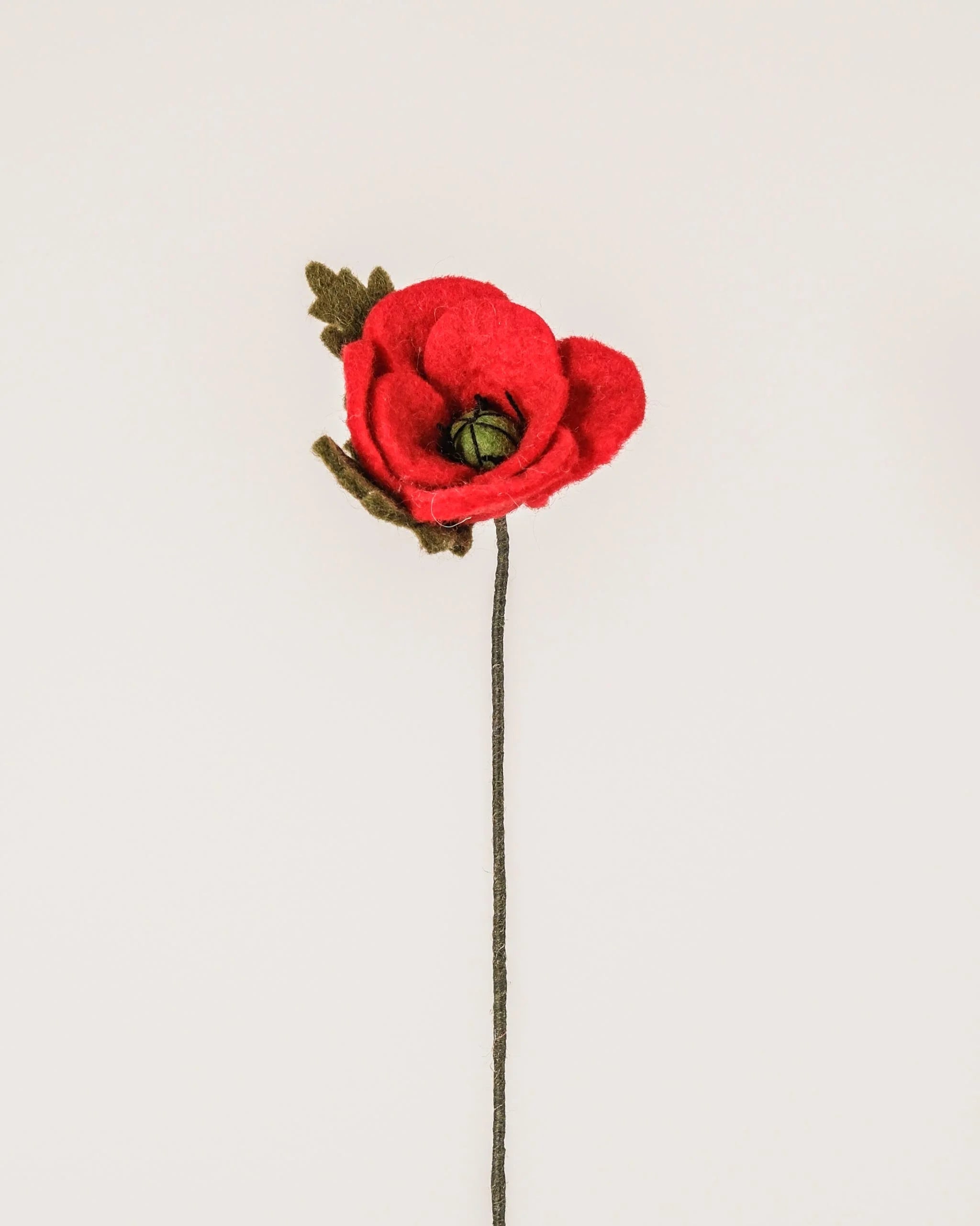 Photo d'un coquelicot en feutrine sur un fond blanc.