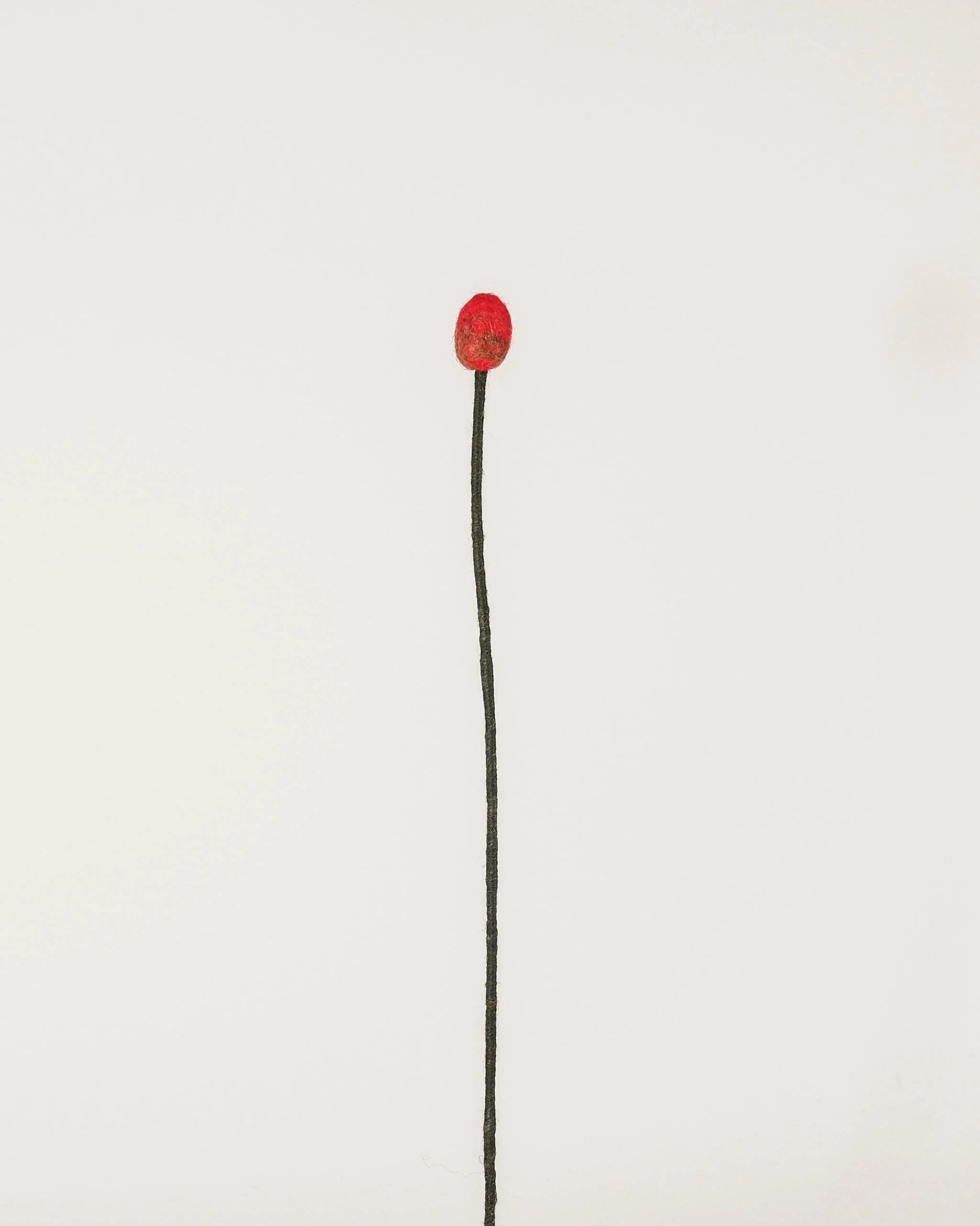Bourgeon de coquelicot en feutrine sur un fond blanc.