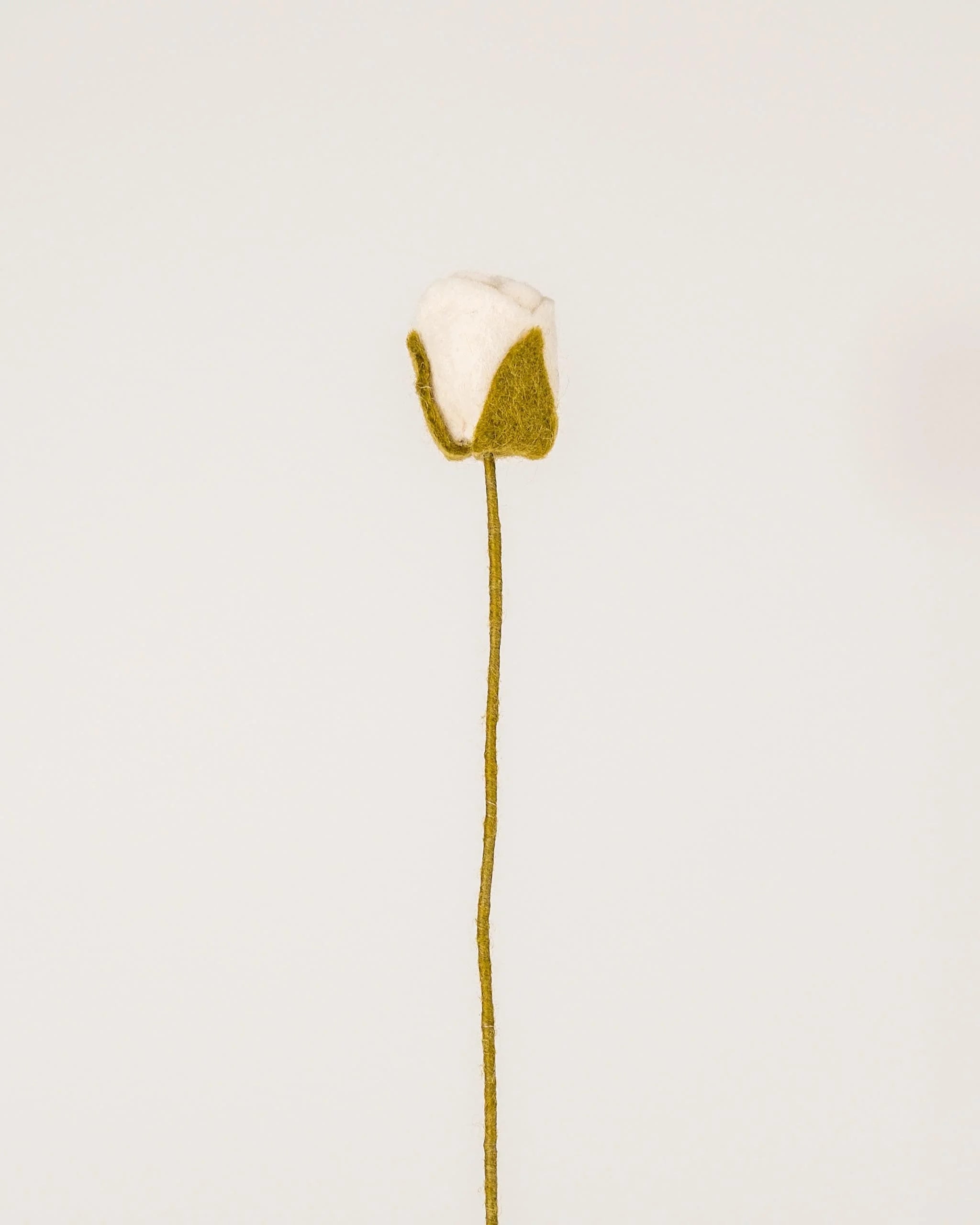 Photo d'une rose blanche en feutrine sur un fond blanc.